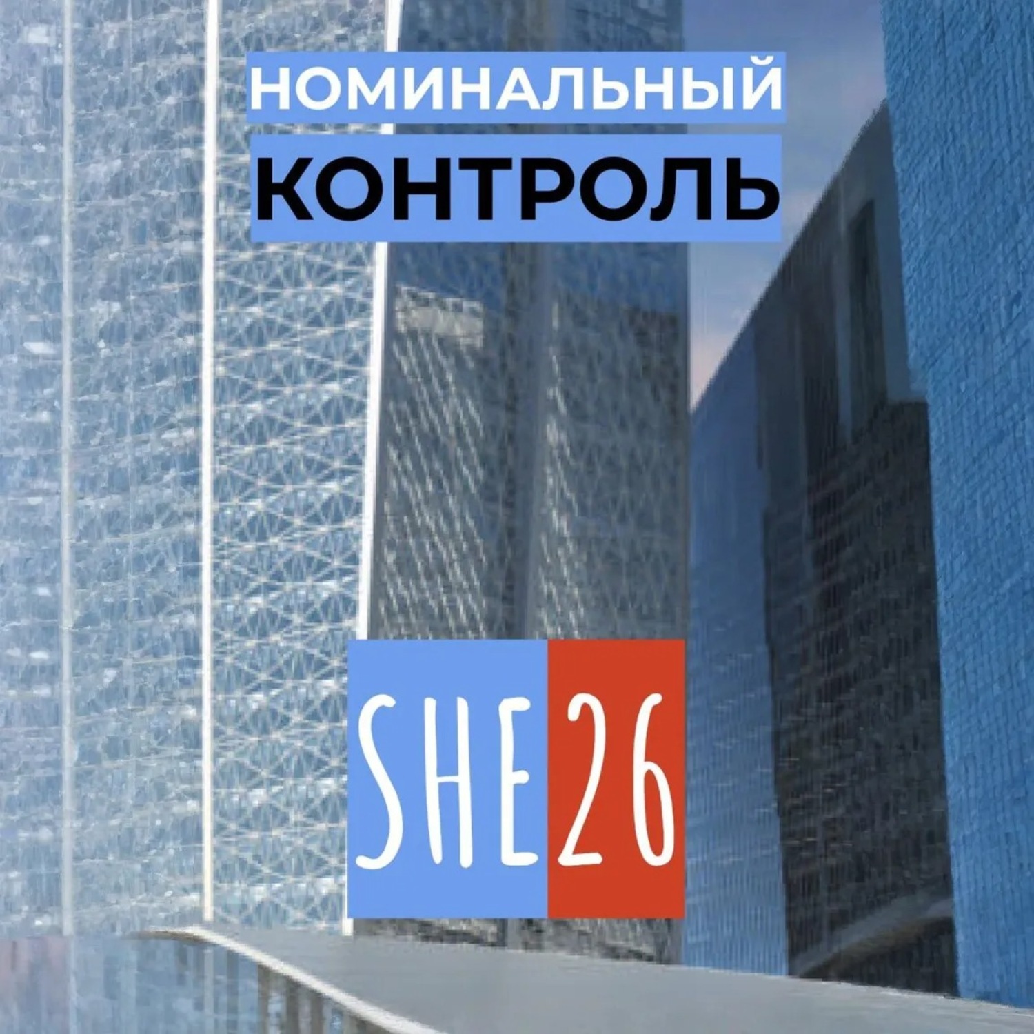 Обложка книги «Номинальный контроль»