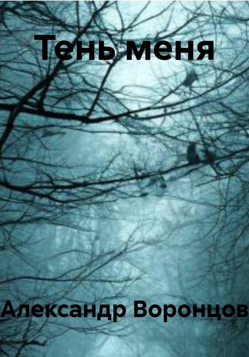 Обложка книги «Тень меня»