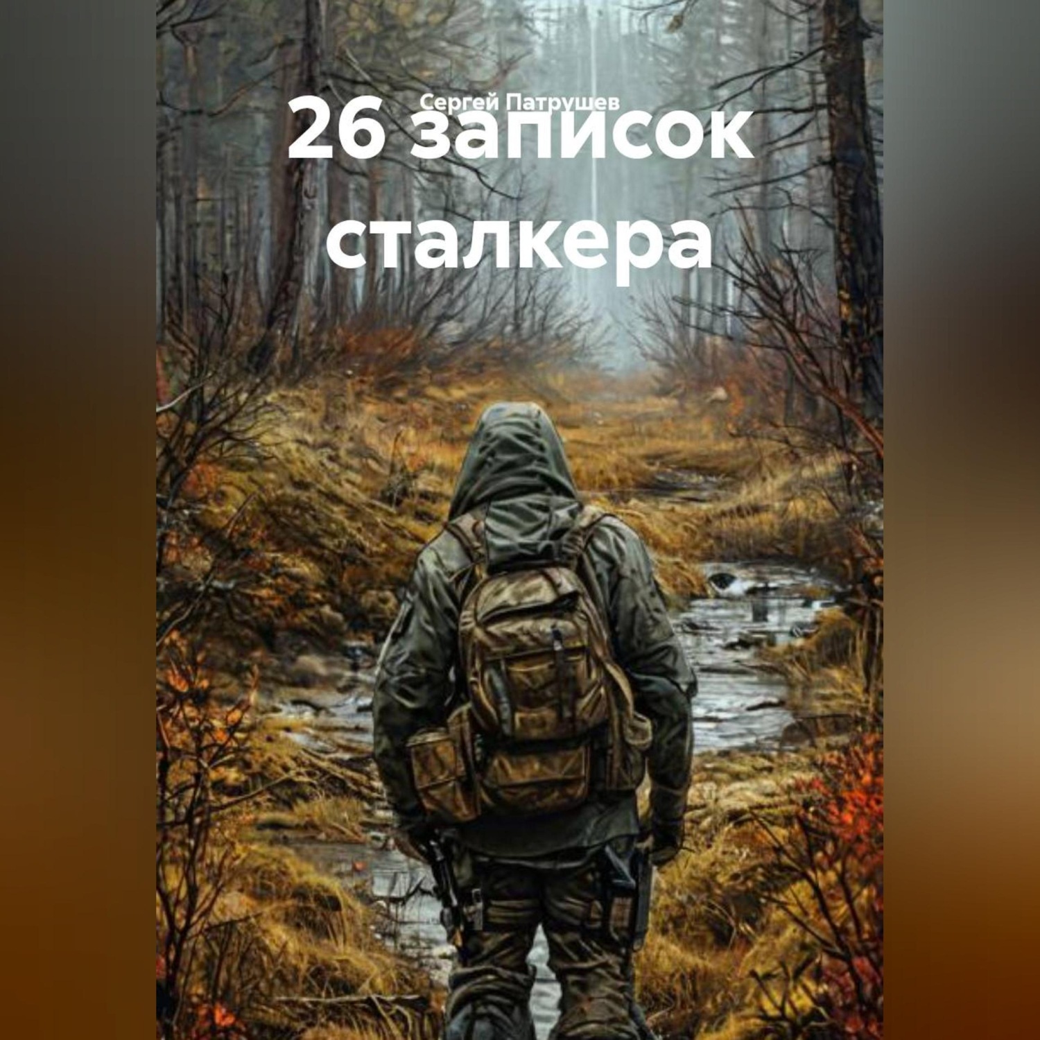 Обложка книги «26 записок сталкера»