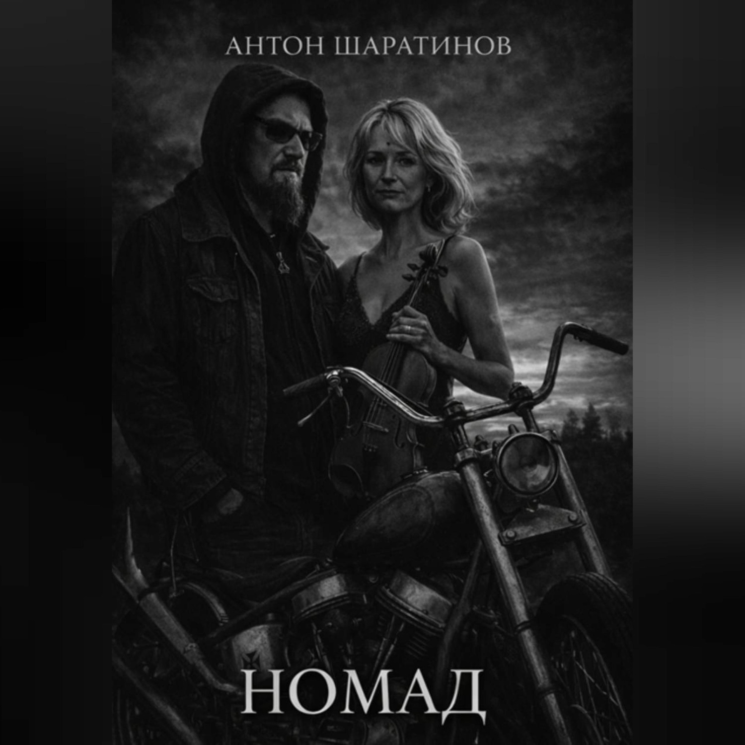 Обложка книги «Номад»