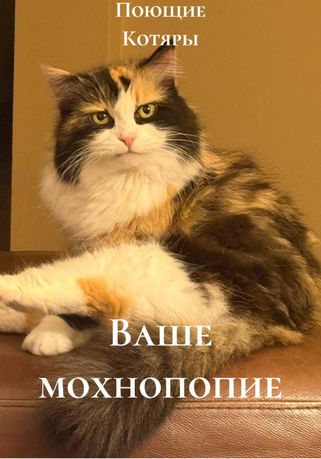 Обложка книги «Ваше мохнопопие»