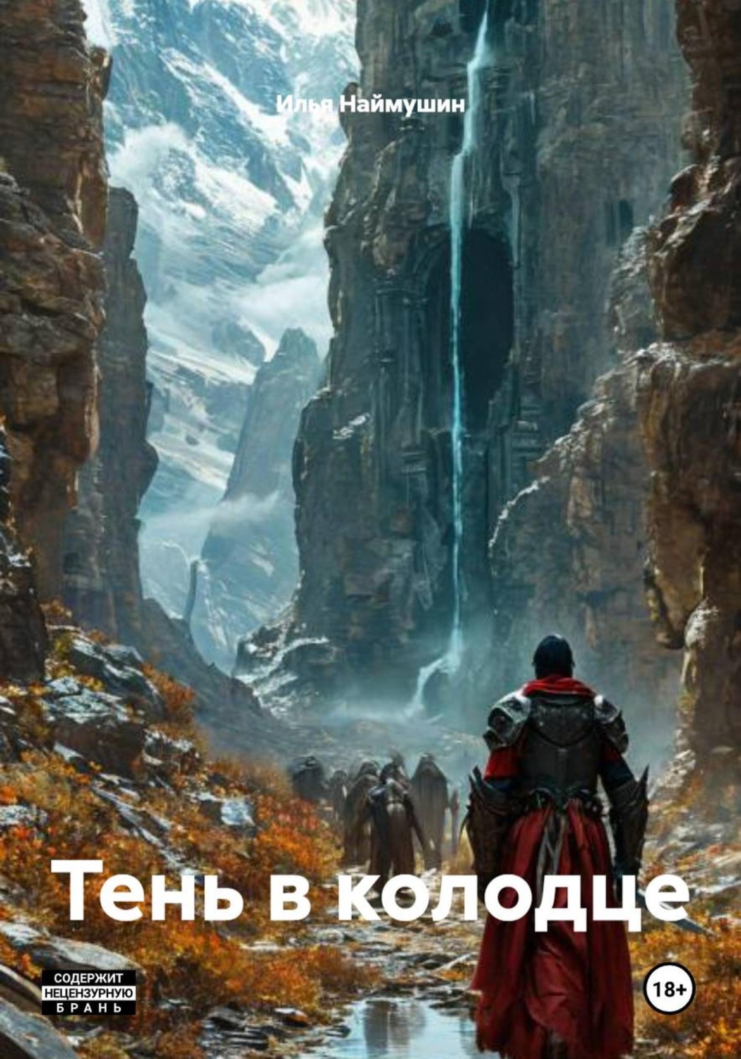 Обложка книги «Тень в колодце»