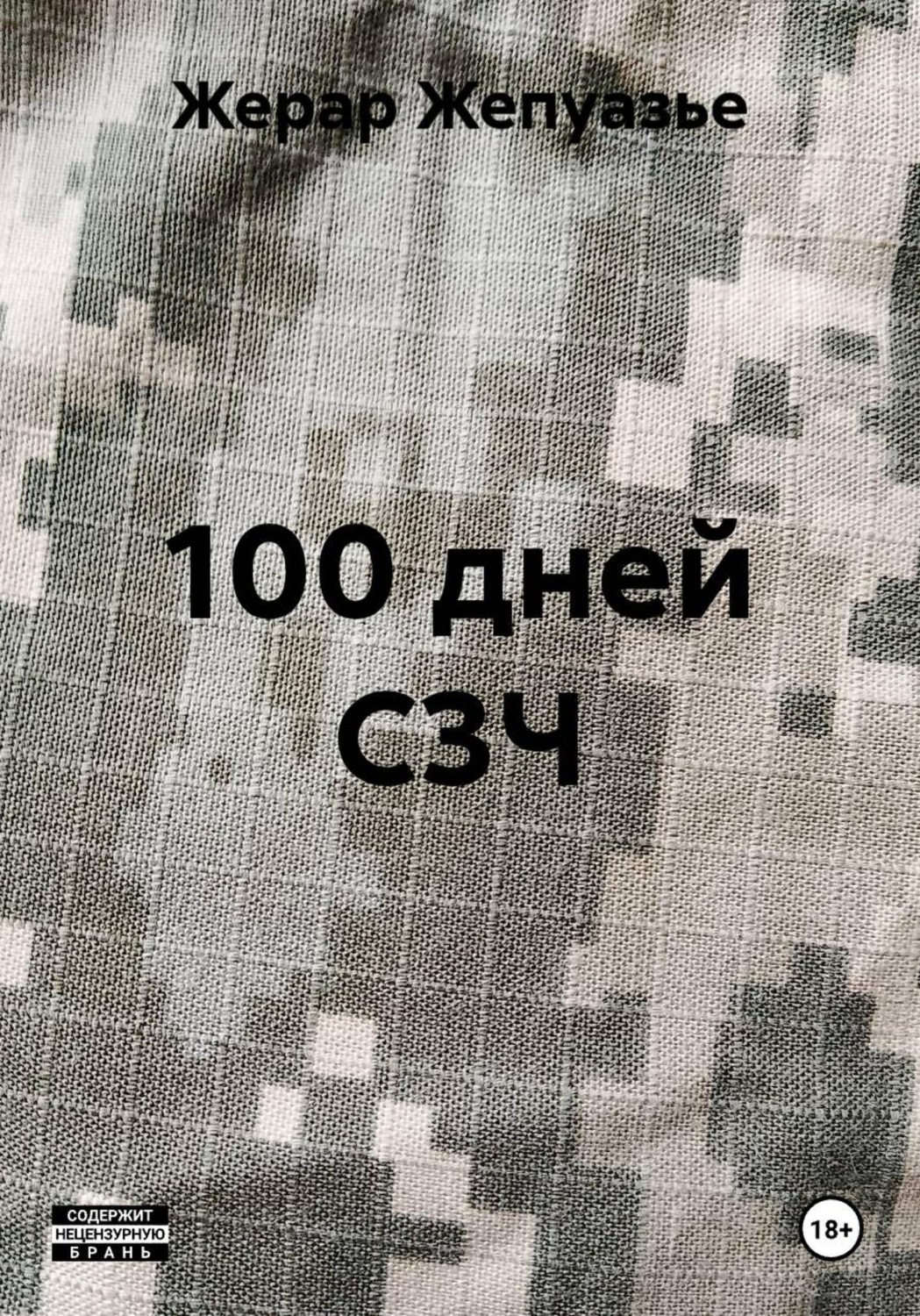 Обложка книги «100 дней C3Ч»