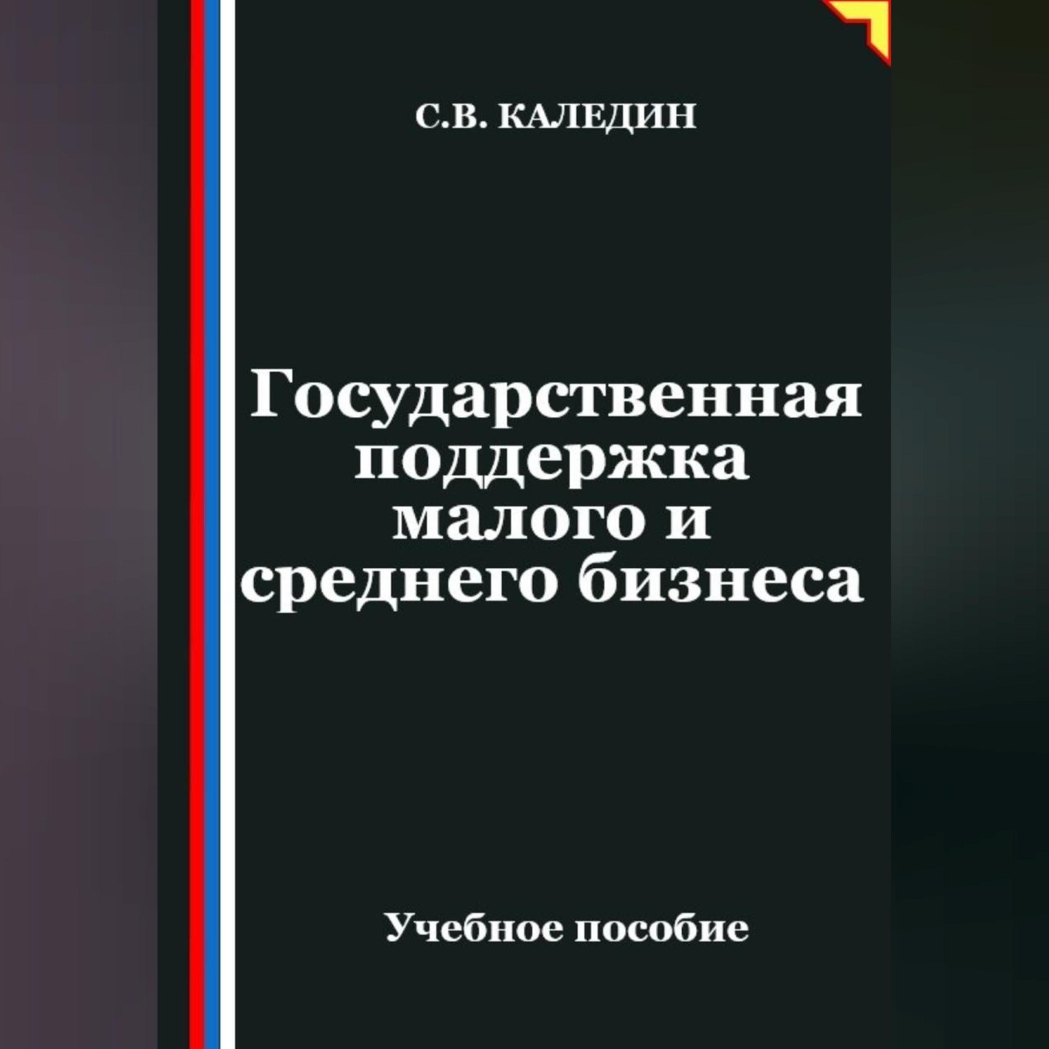 Обложка книги «Государственная поддержка малого и среднего предпринимательства»