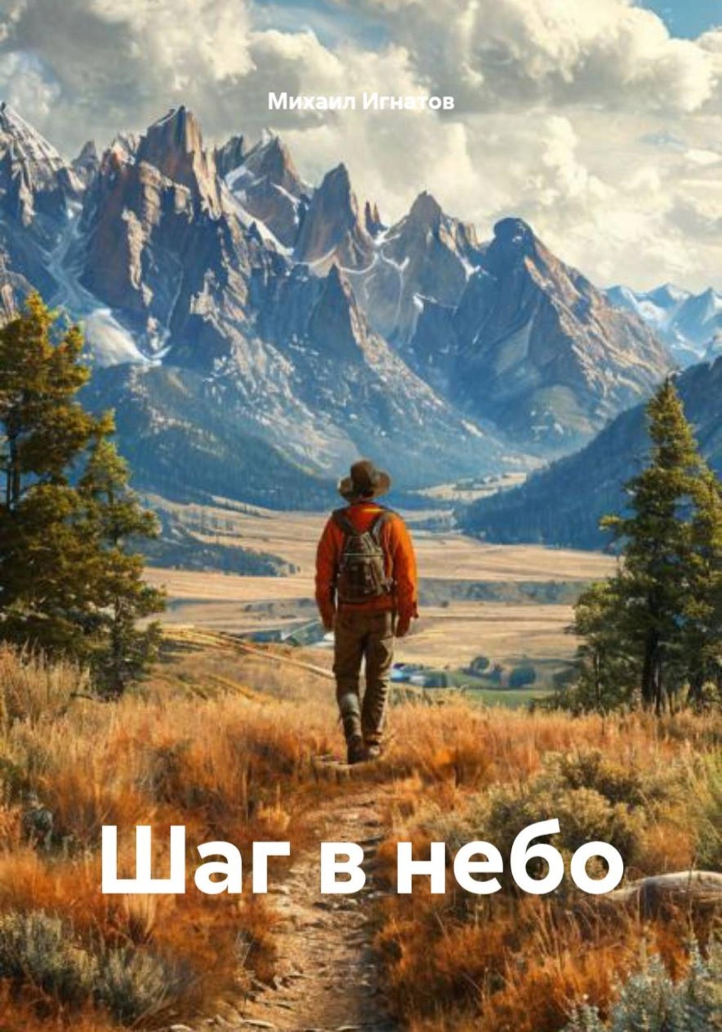 Обложка книги «Шаг в небо»