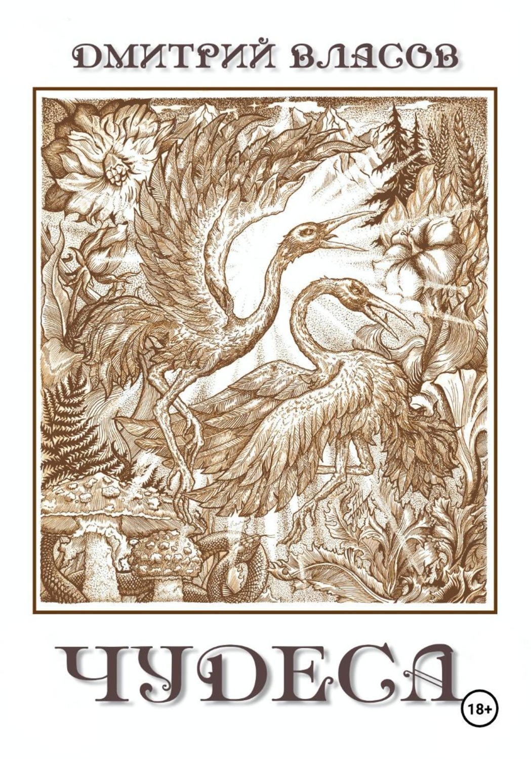 Обложка книги «Чудеса»