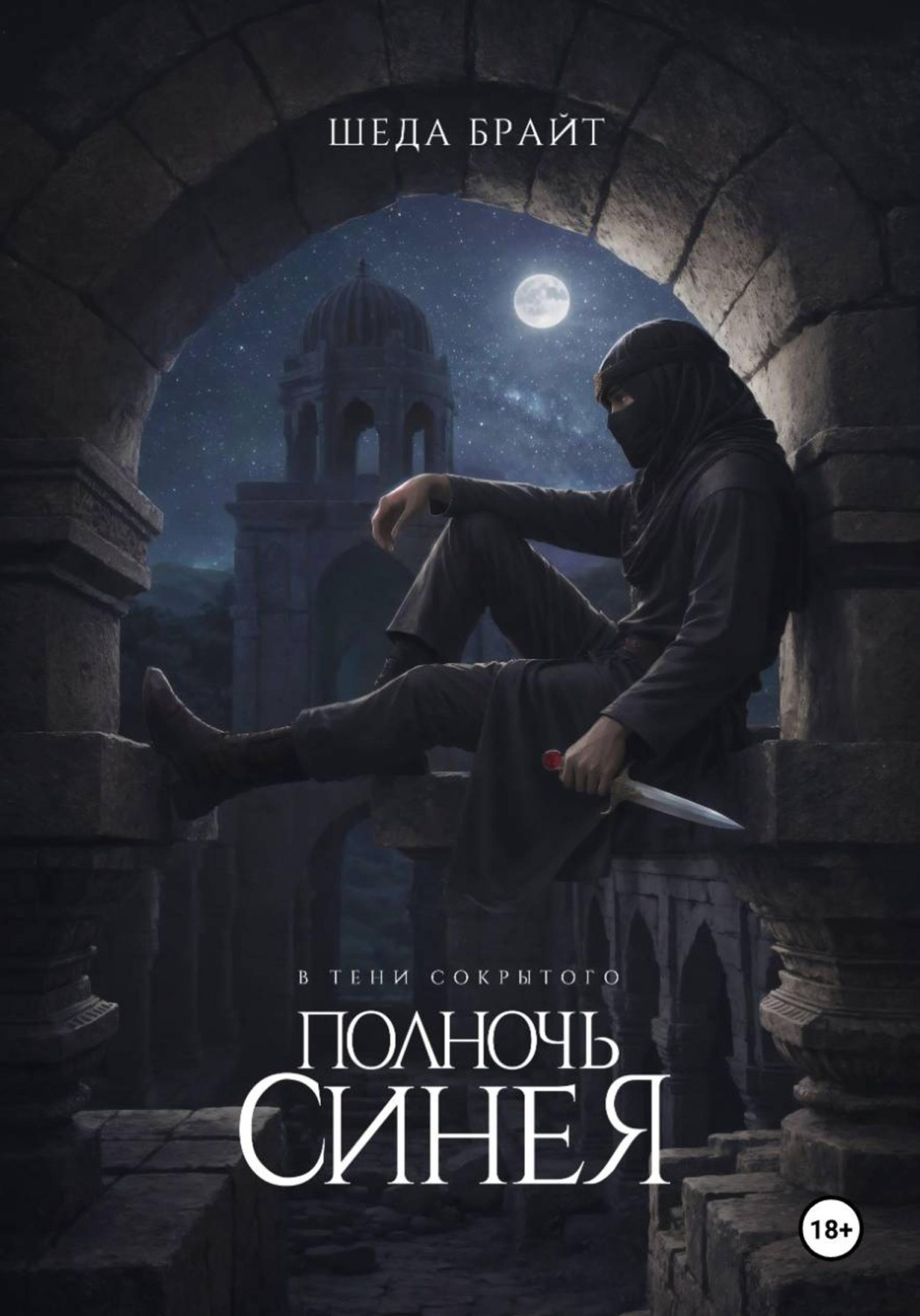 Обложка книги «В тени Сокрытого. Полночь Синея»