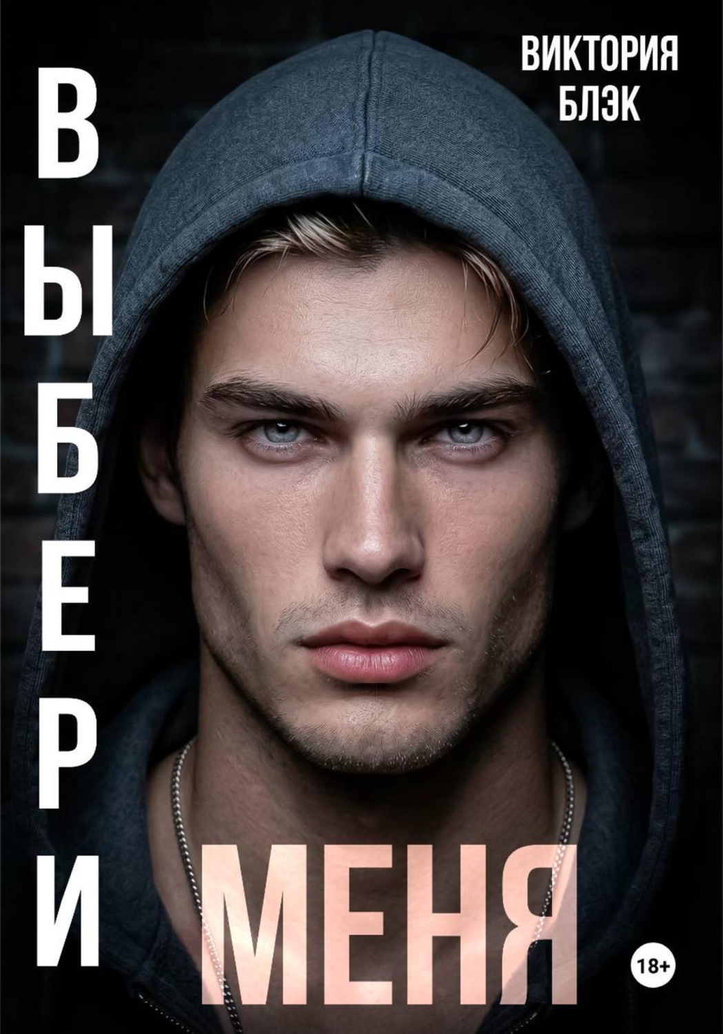 Обложка книги «Выбери меня»