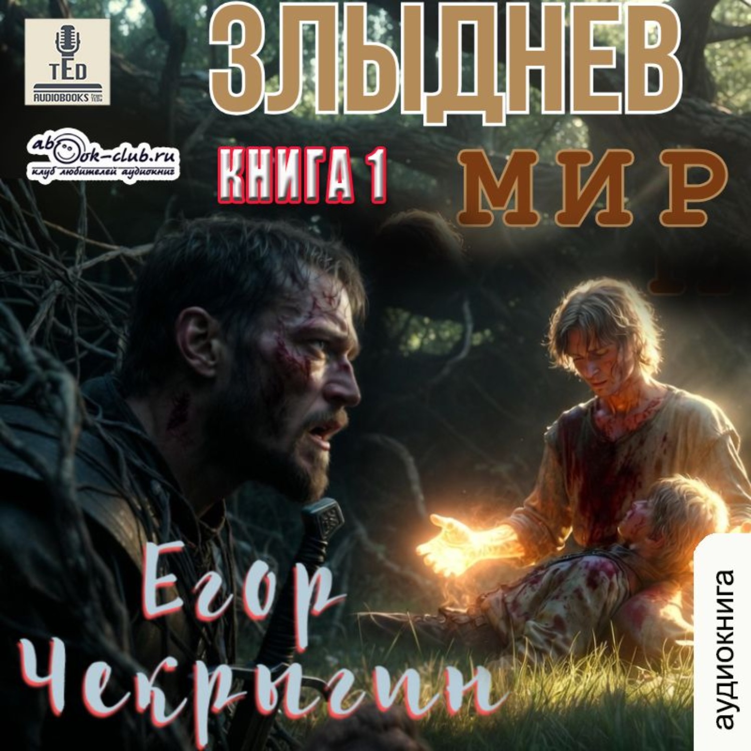 Обложка книги «Злыднев мир. Книга 1»