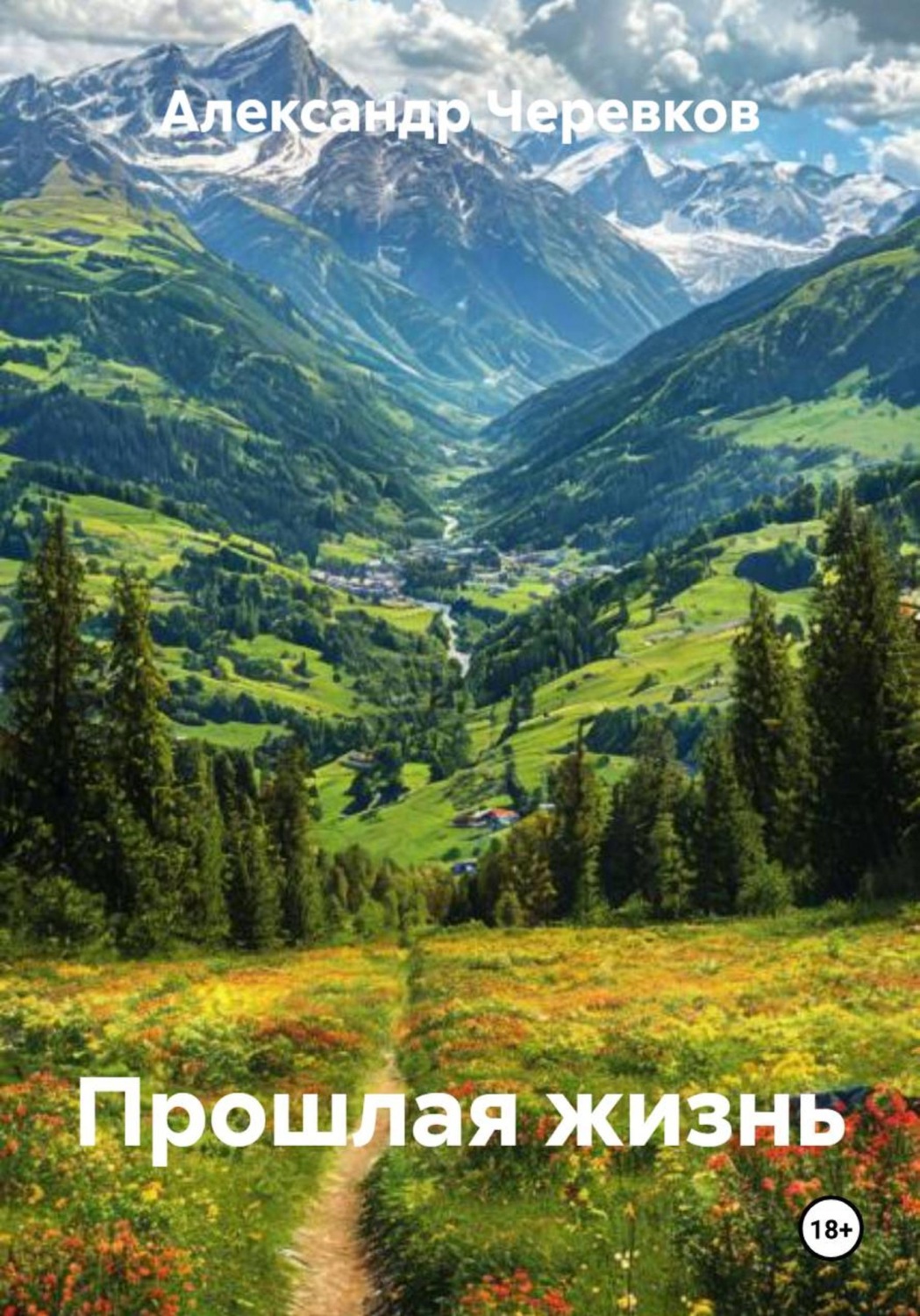 Обложка книги «Прошлая жизнь»