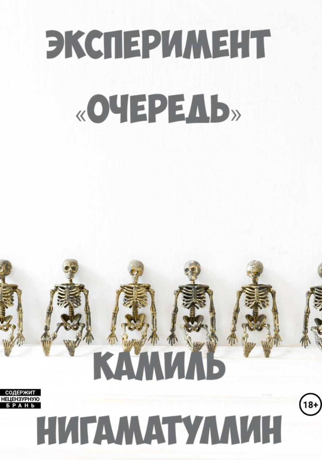 Обложка книги «Эксперимент «Очередь»»