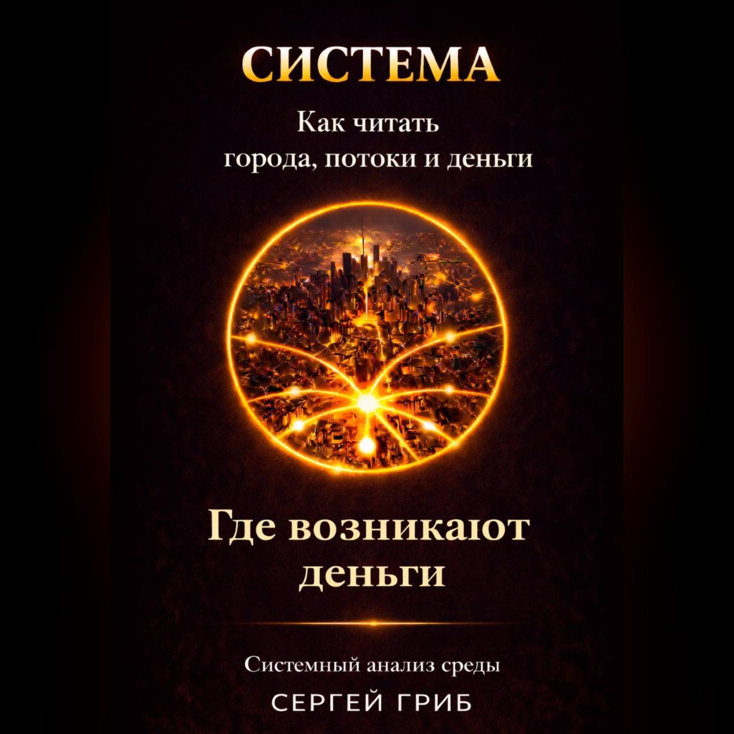 Обложка книги «Где возникают деньги»