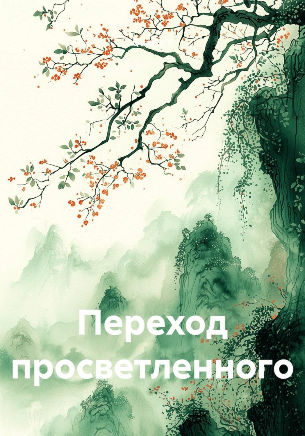 Обложка книги «Переход просветленного»