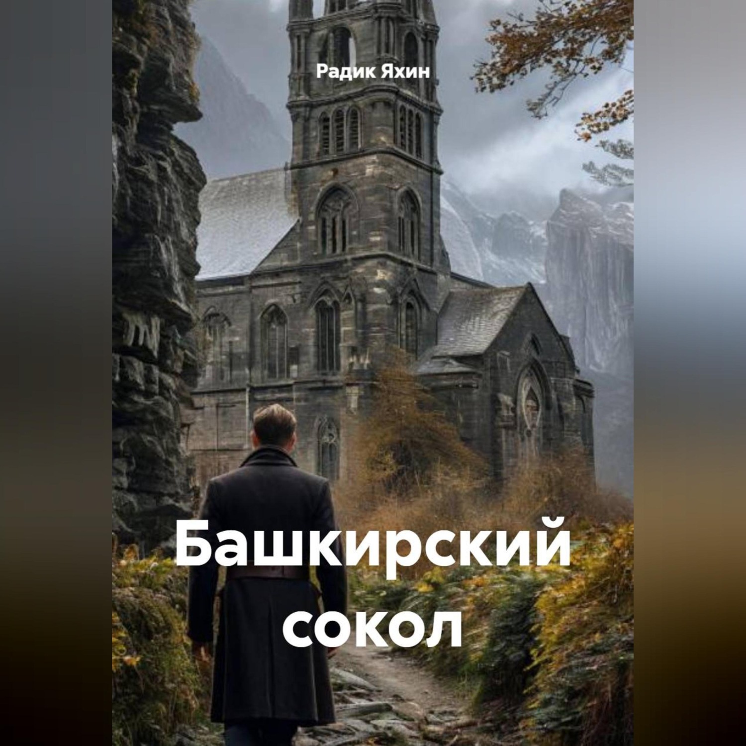 Обложка книги «Башкирский сокол»