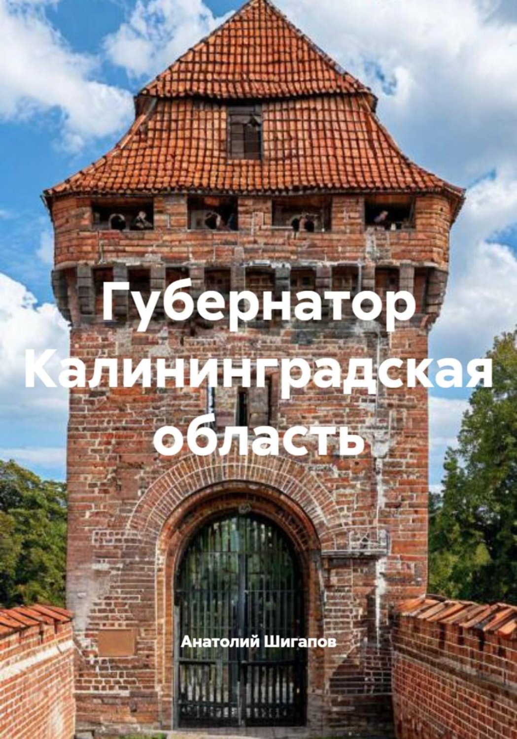 Обложка книги «Губернатор Калининградская область»