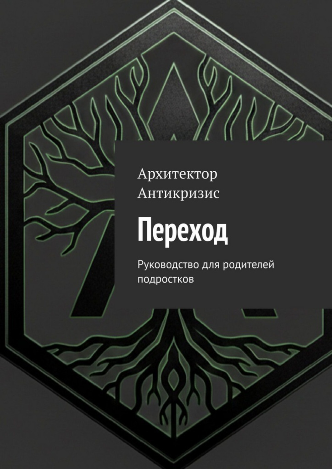 Обложка книги «Переход. Руководство для родителей подростков»