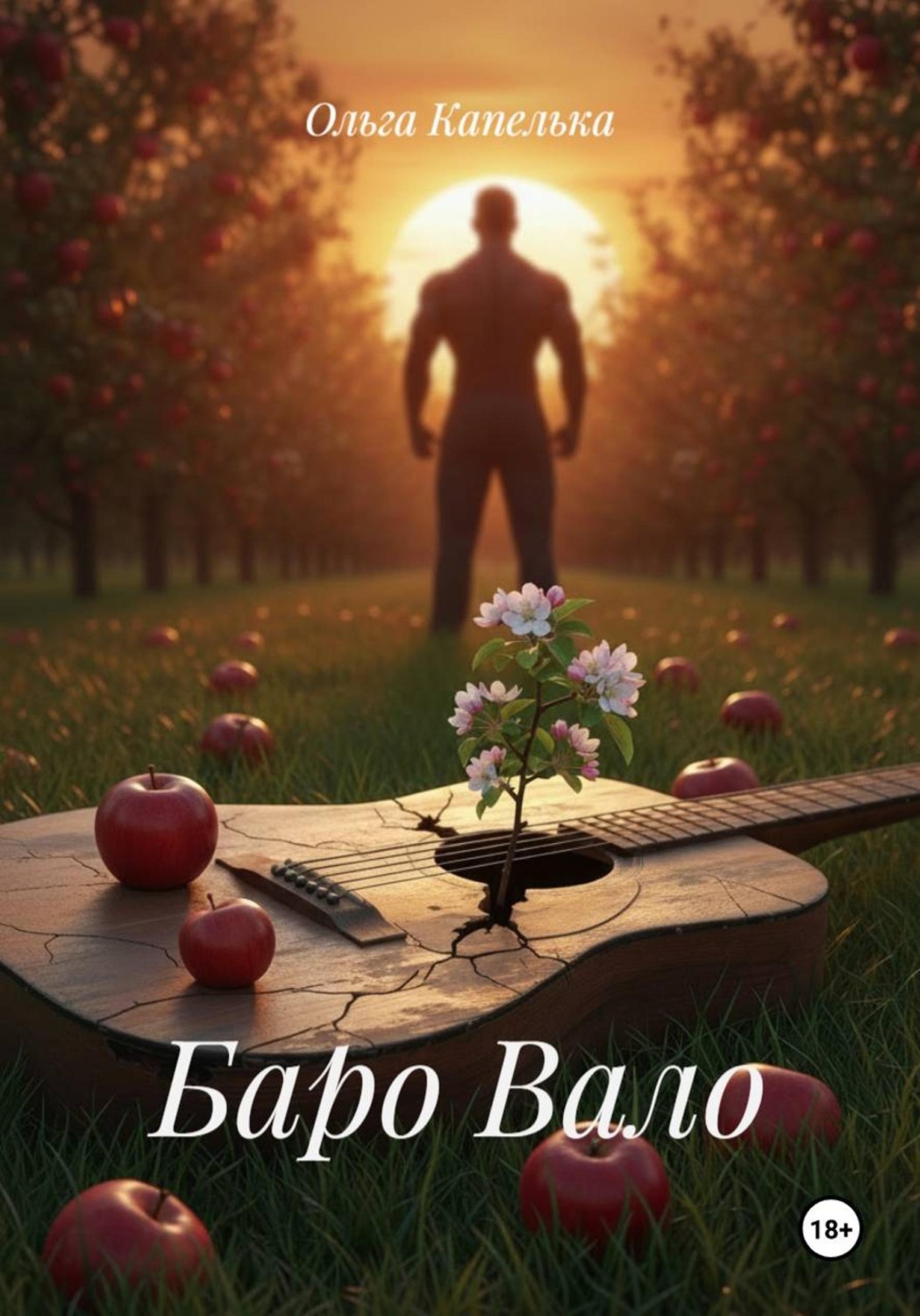 Обложка книги «Баро Вало»