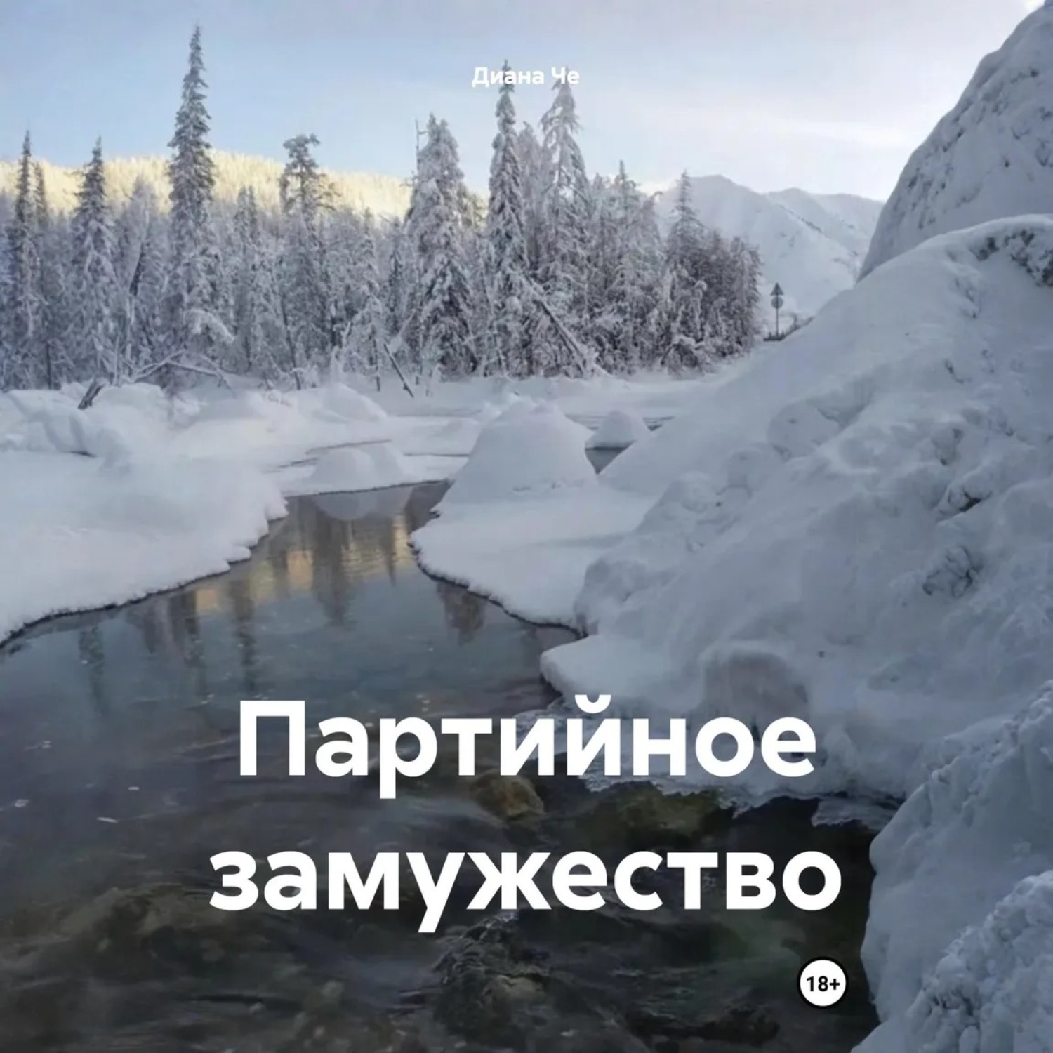 Обложка книги «Партийное замужество»