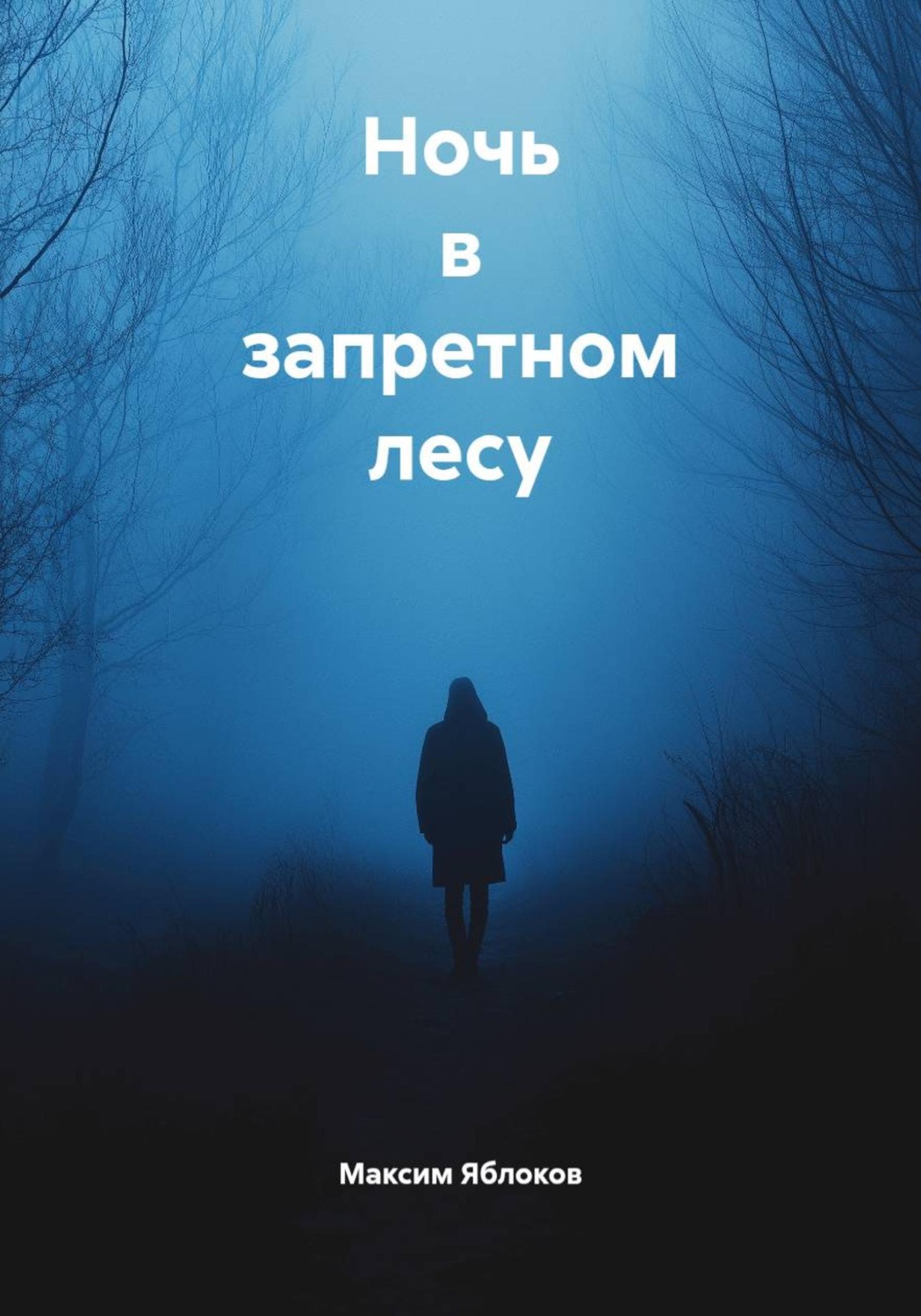 Обложка книги «Ночь в запретном лесу»