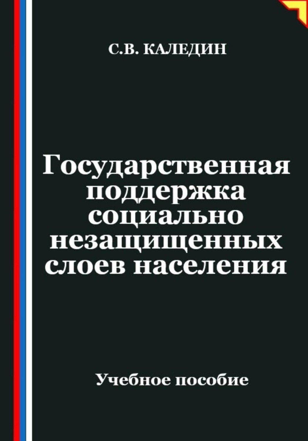 Обложка книги «Государственная поддержка социально незащищенных слоев населения»