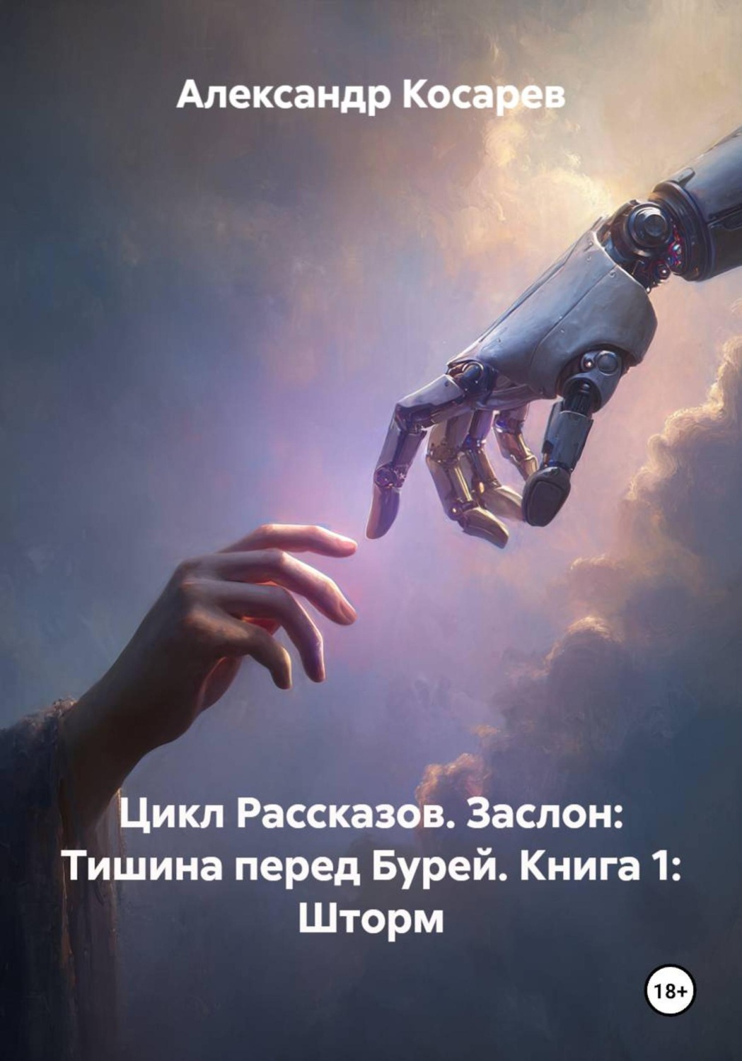 Обложка книги «Цикл Рассказов. Заслон: Тишина перед Бурей. Книга 1: Шторм»