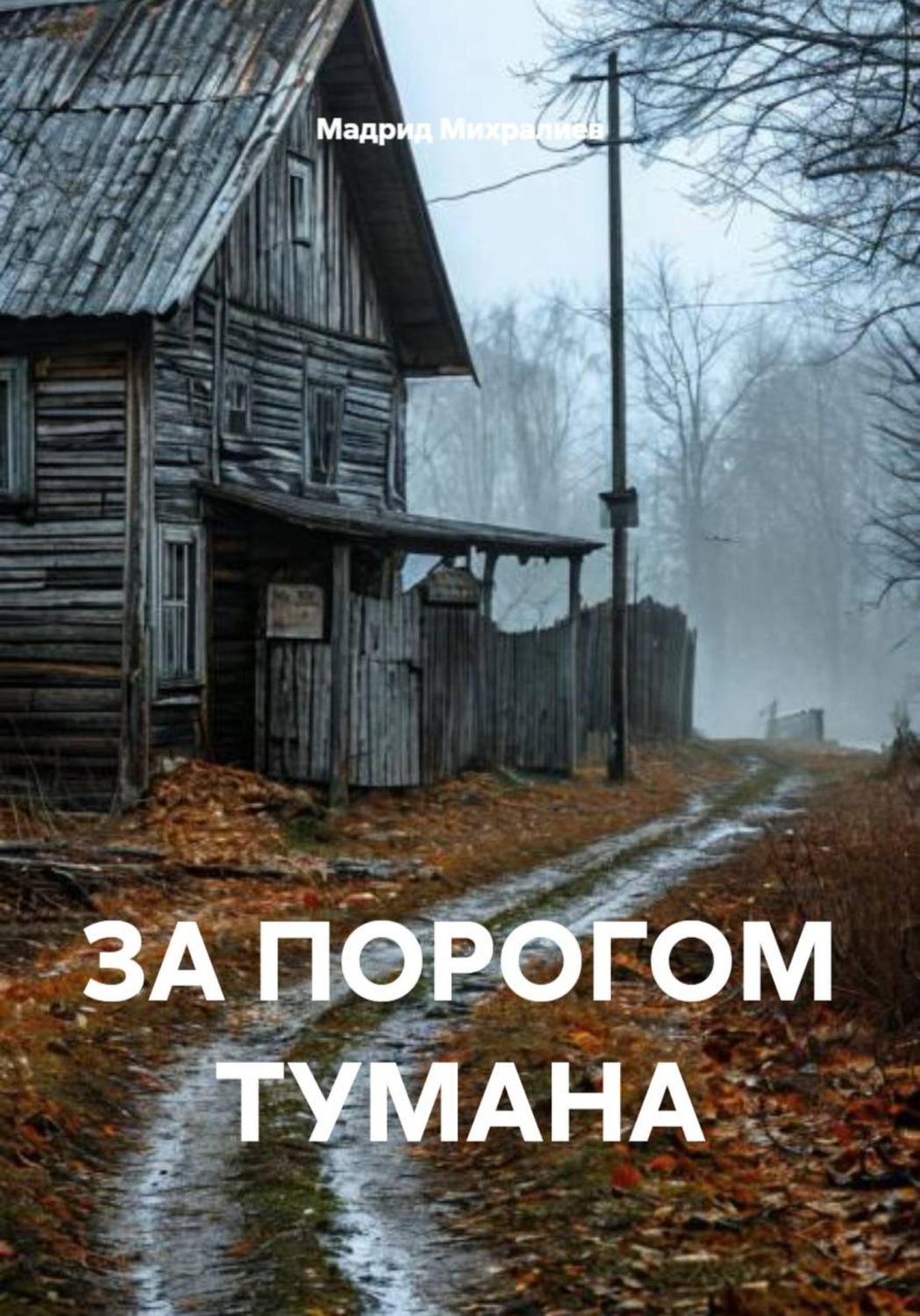 Обложка книги «ЗА ПОРОГОМ ТУМАНА»
