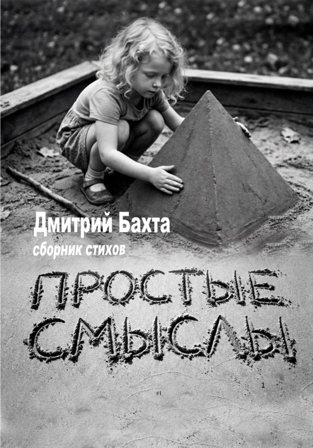 Обложка книги «Простые смыслы. Сборник стихов»