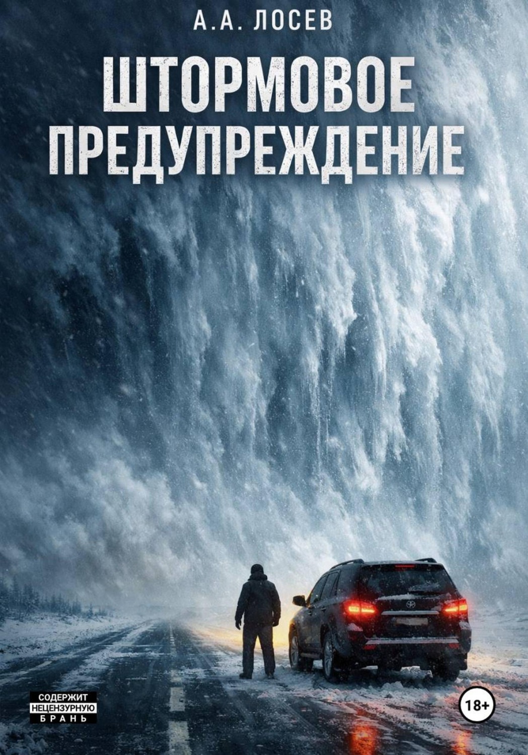 Обложка книги «Штормовое предупреждение»