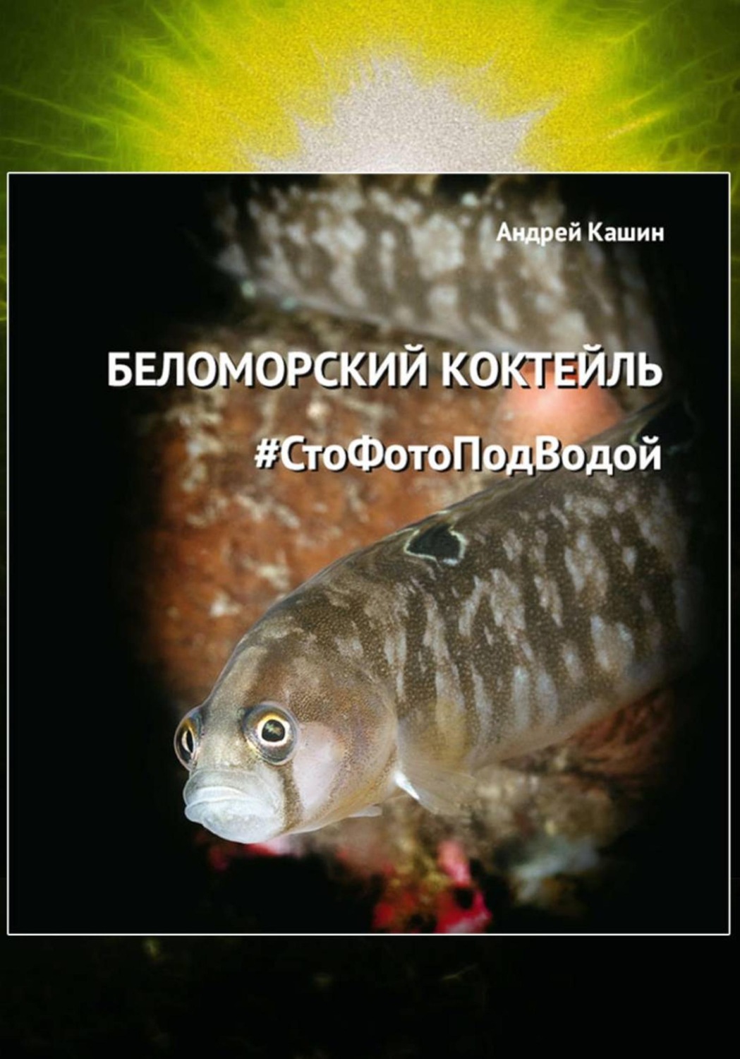 Обложка книги «Фотоальбом «Беломорский коктейль #СтоФотоПодВодой»»