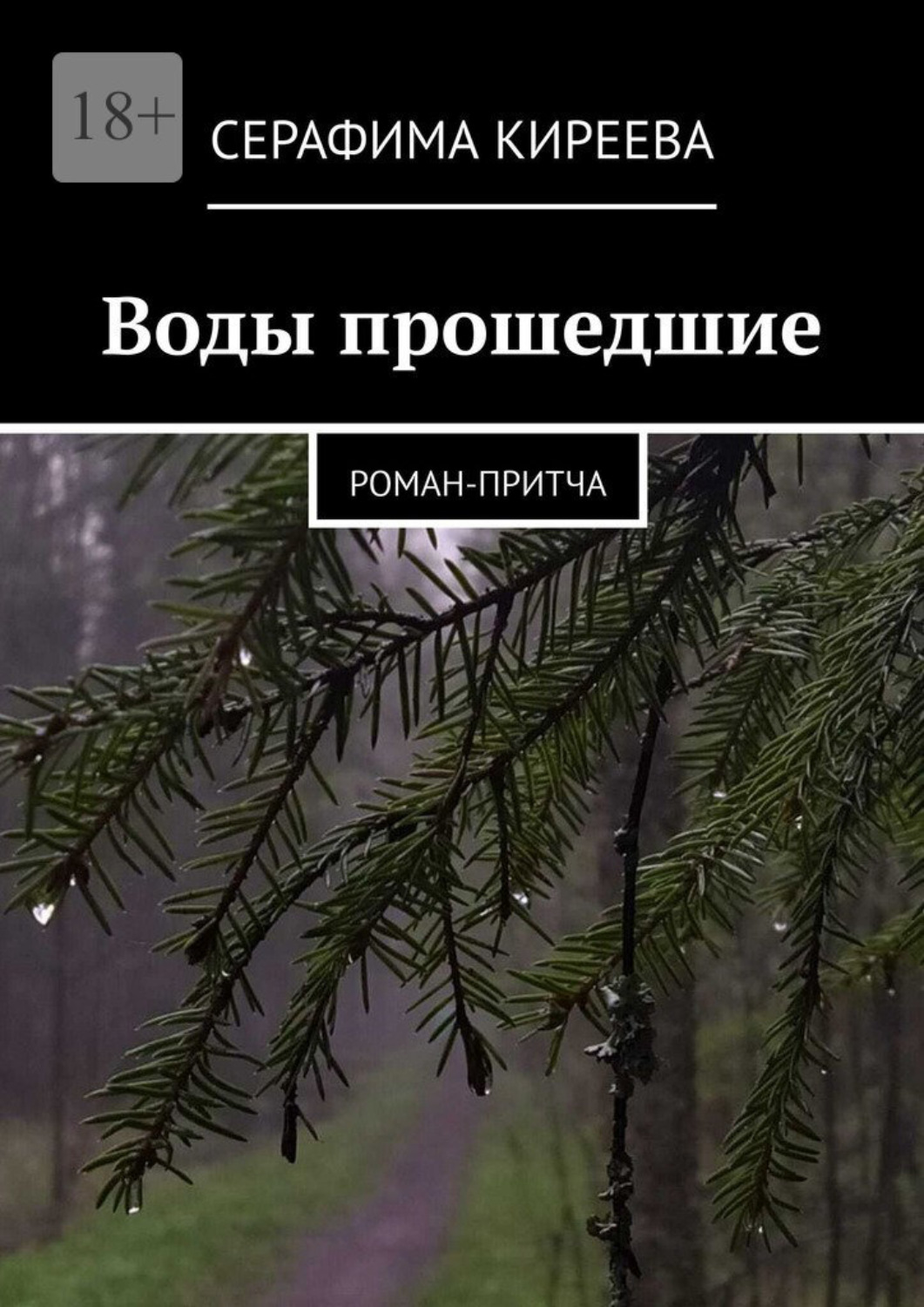 Обложка книги «Воды прошедшие. Роман-притча»