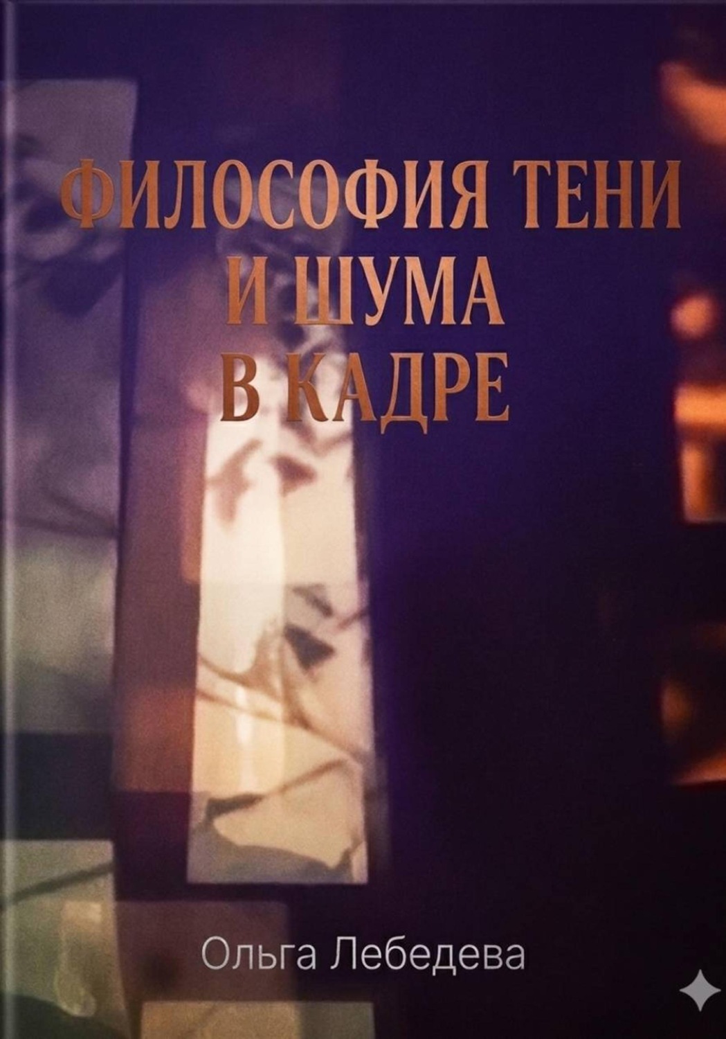 Обложка книги «Философия тени и шума в кадре»