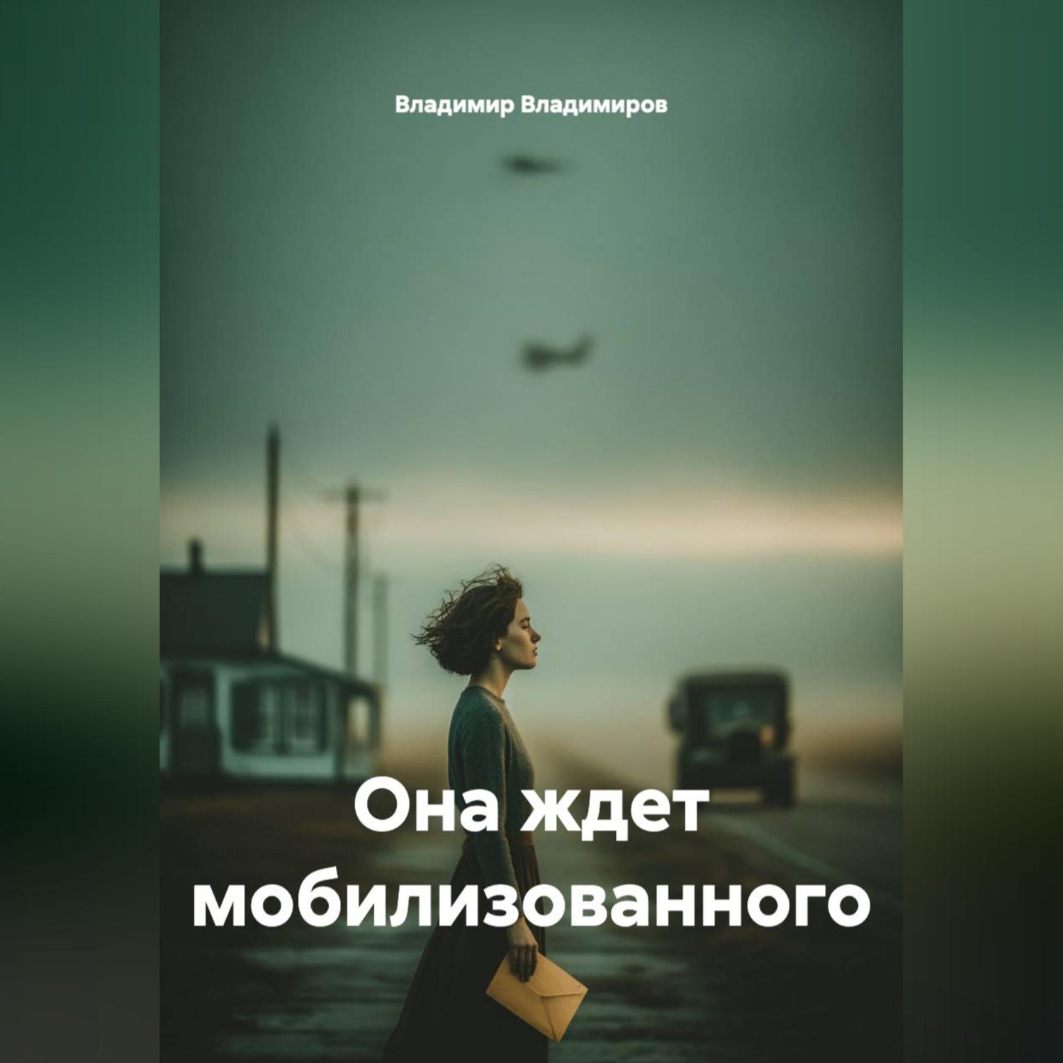 Обложка книги «Она ждет мобилизованного»