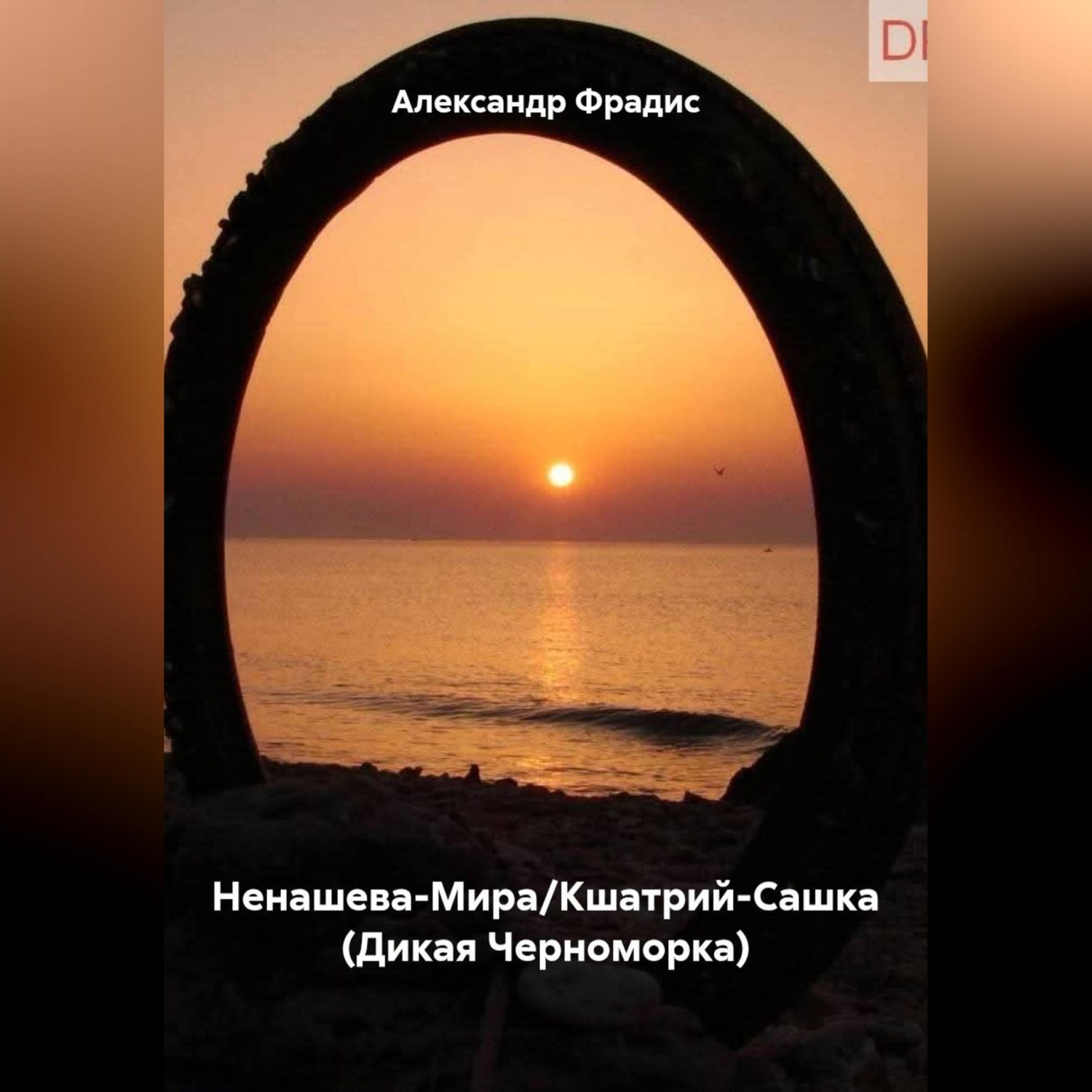Обложка книги «Саша-Фрадис-Ненашева-Мира»