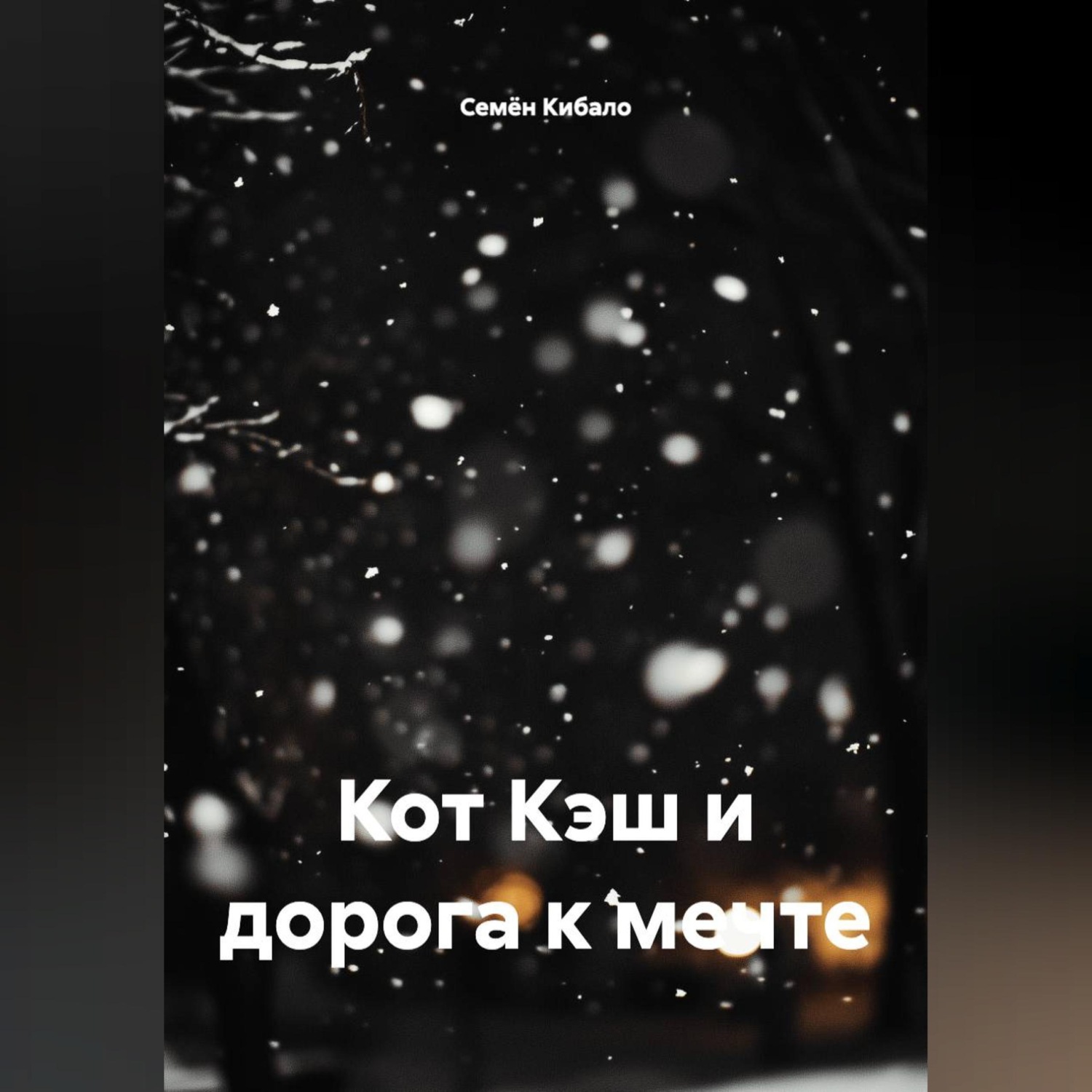 Обложка книги «Кот Кэш и дорога к мечте»