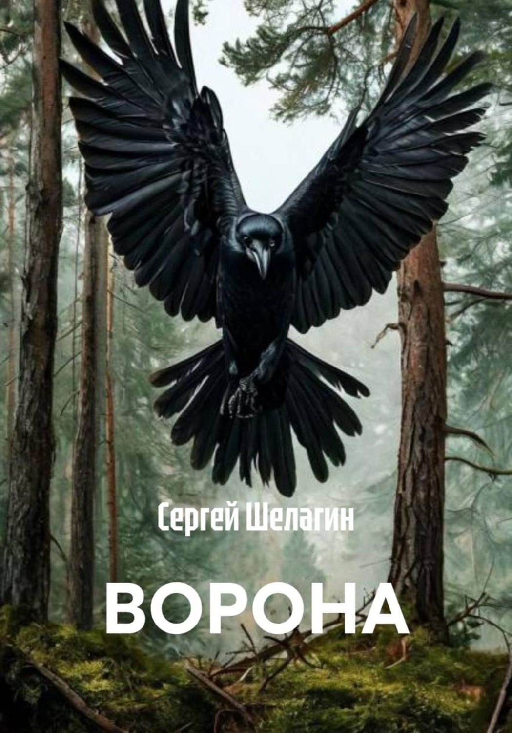 Обложка книги «ВОРОНА»
