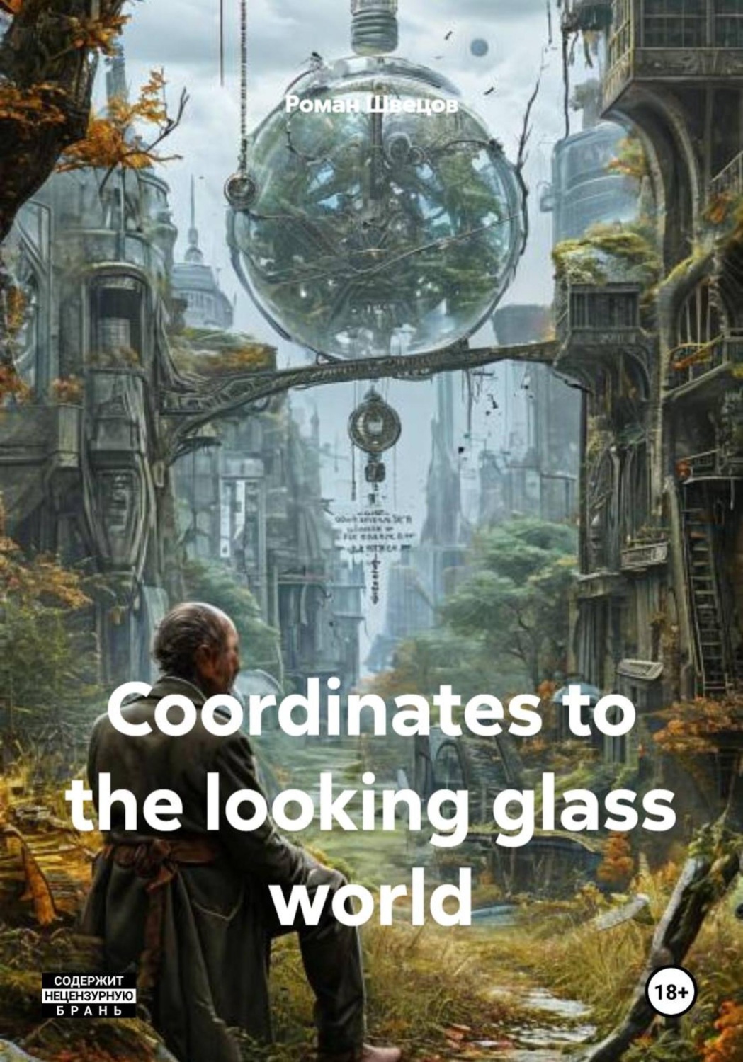Обложка книги «Coordinates to the looking glass world»
