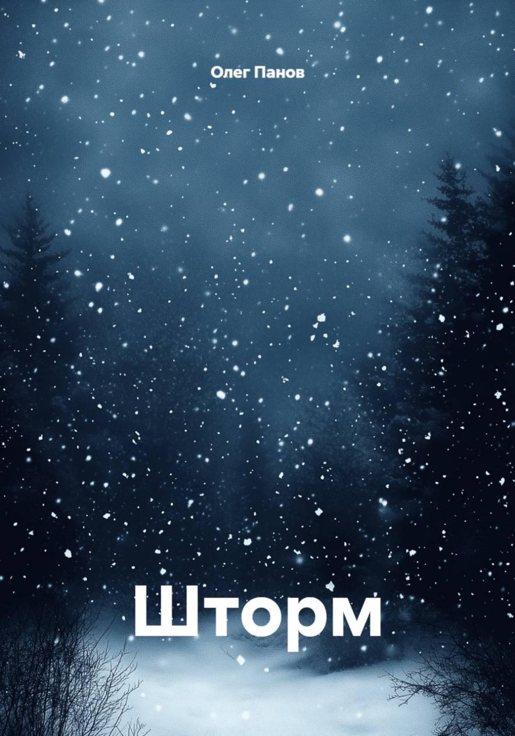 Обложка книги «Шторм»