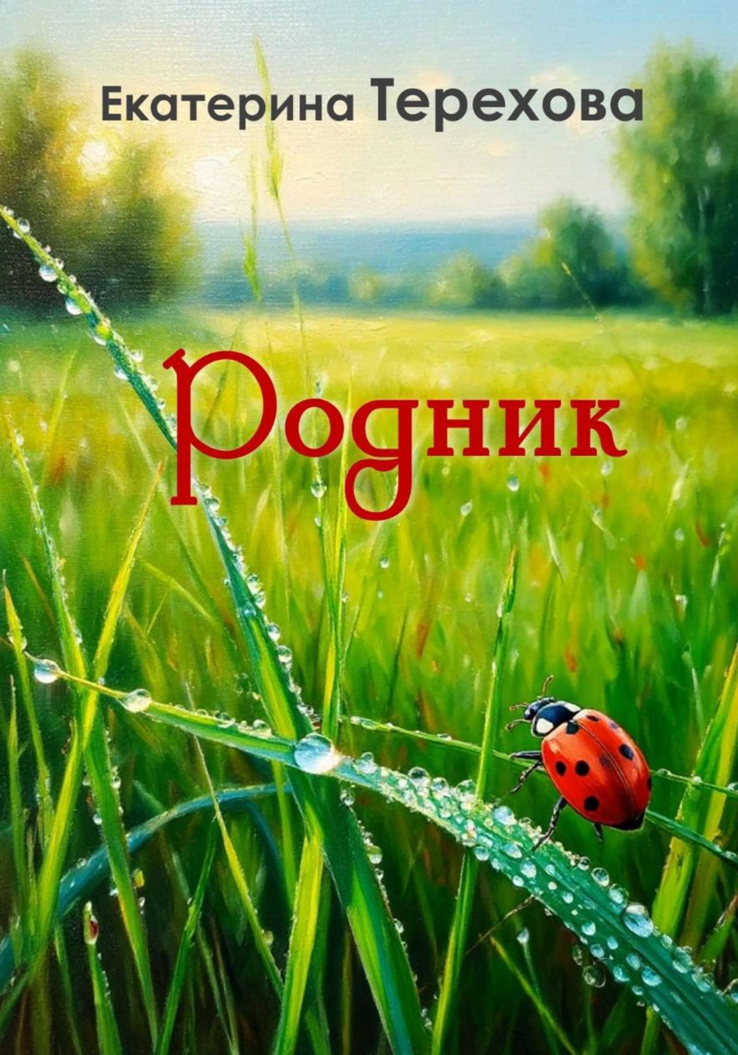 Обложка книги «РОДНИК»