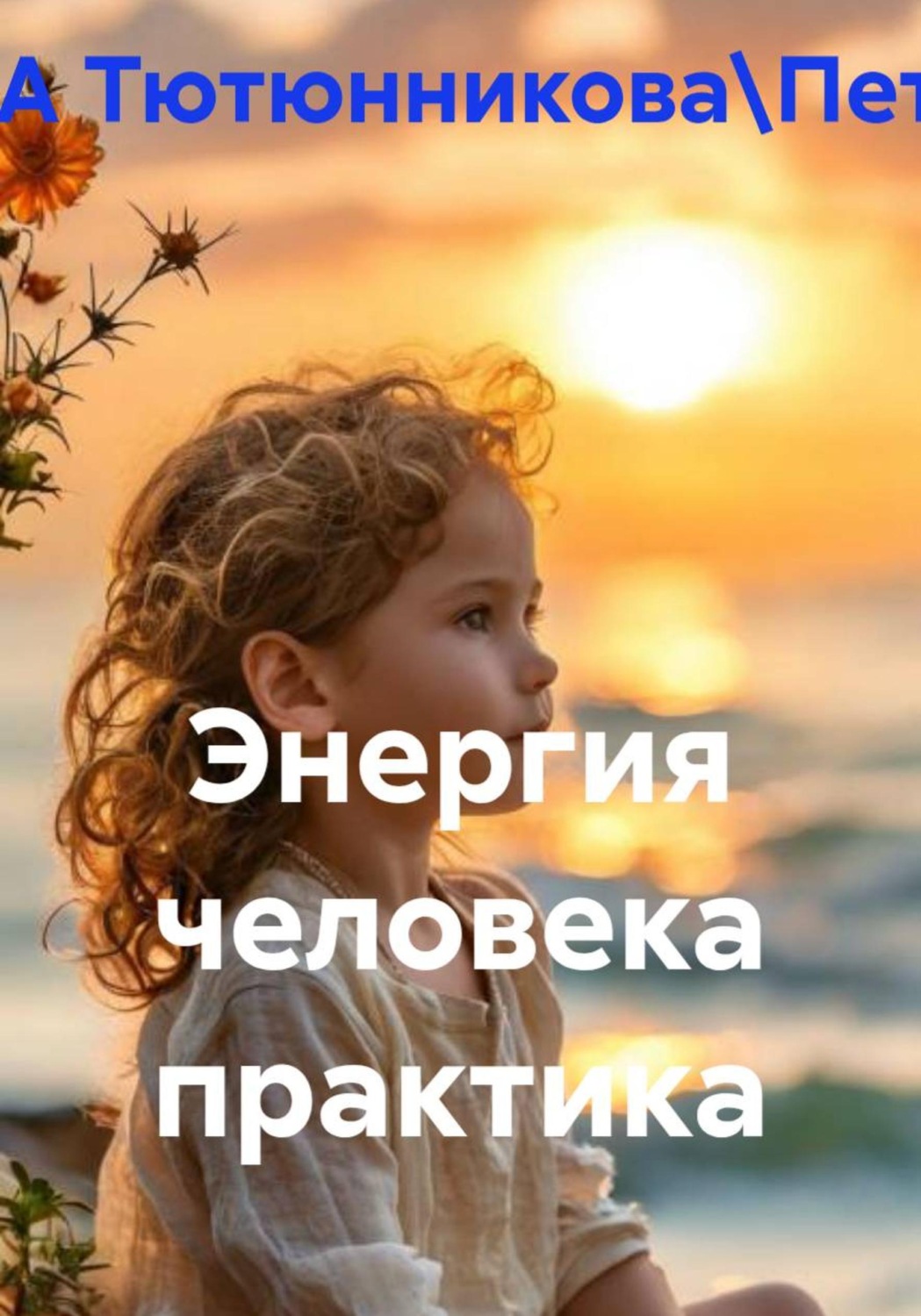 Обложка книги «Энергия человека практика»