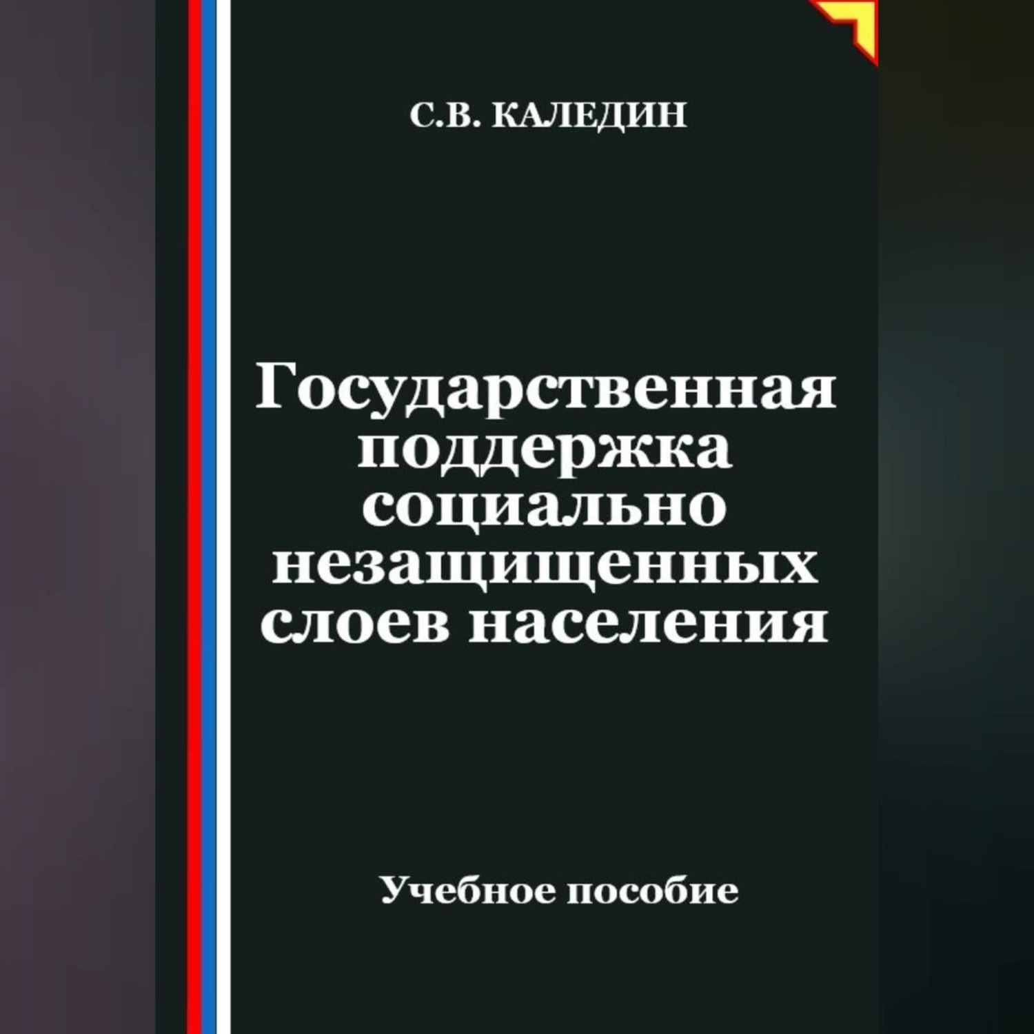 Обложка книги «Государственная поддержка социально незащищенных слоев населения»