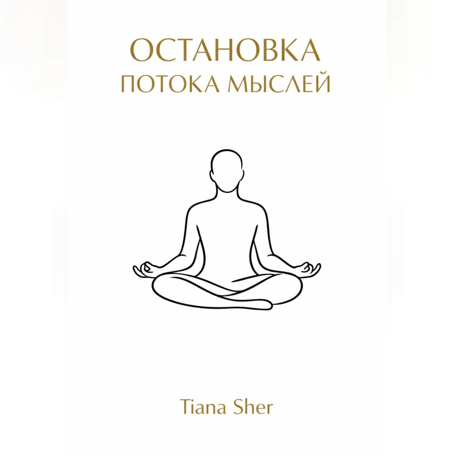 Обложка книги «Остановка потока мыслей»