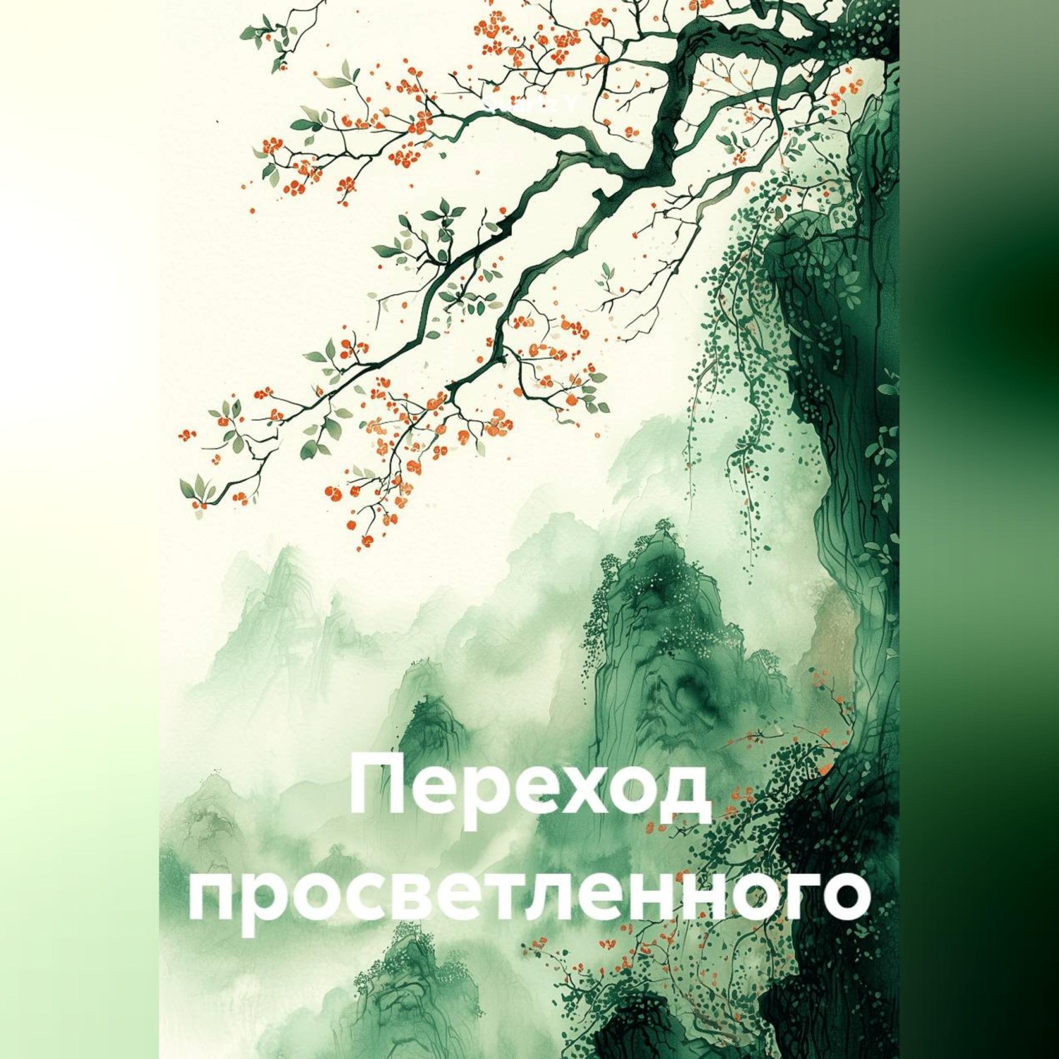 Обложка книги «Переход просветленного»