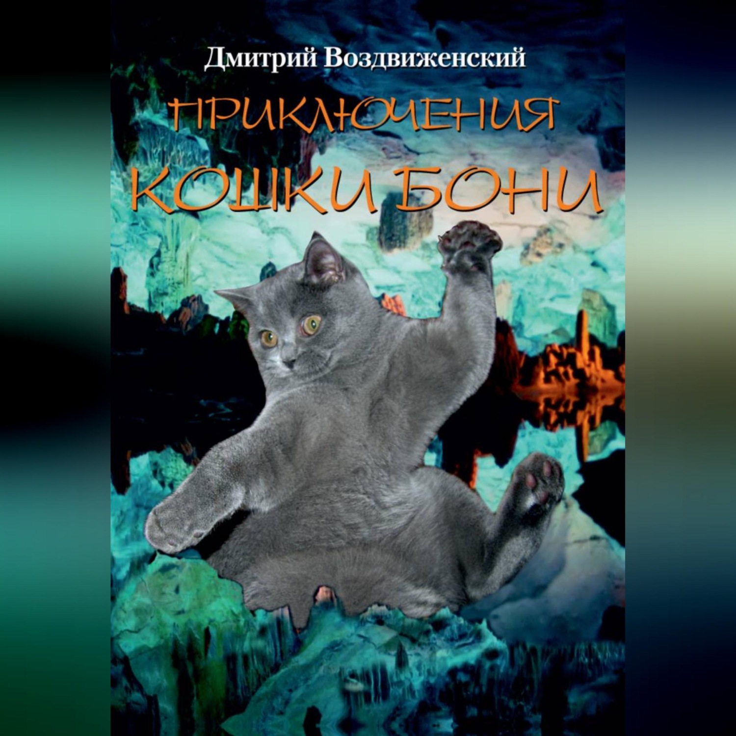 Обложка книги «ПРИКЛЮЧЕНИЯ КОШКИ БОНИ»
