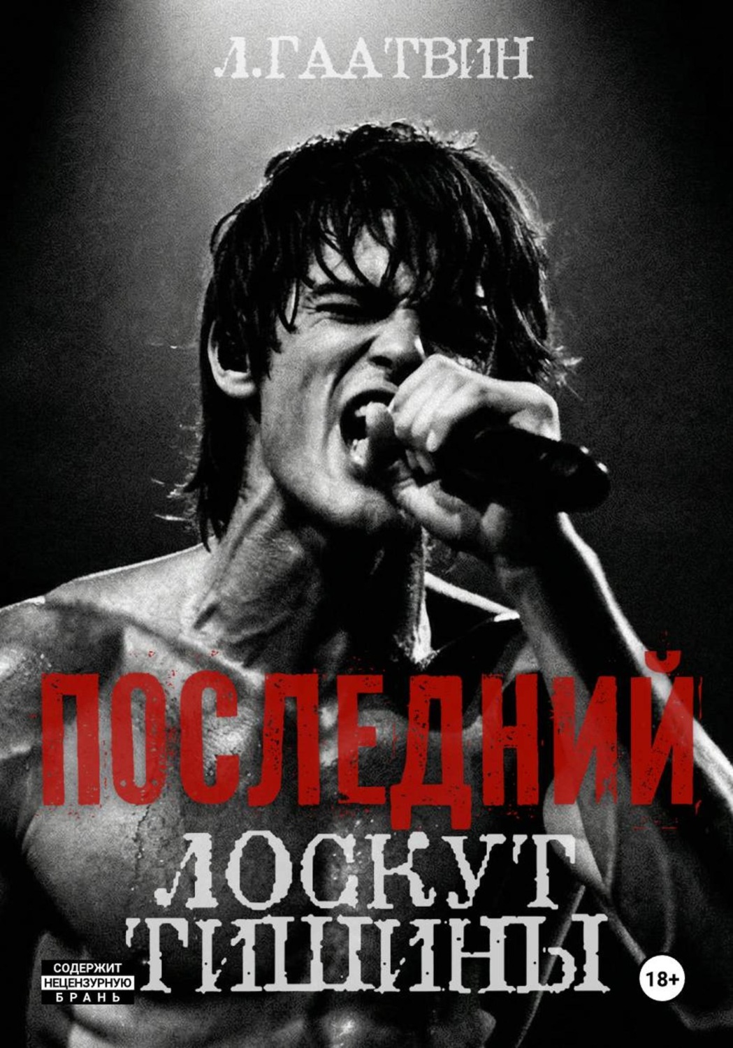 Обложка книги «Последний лоскут тишины»