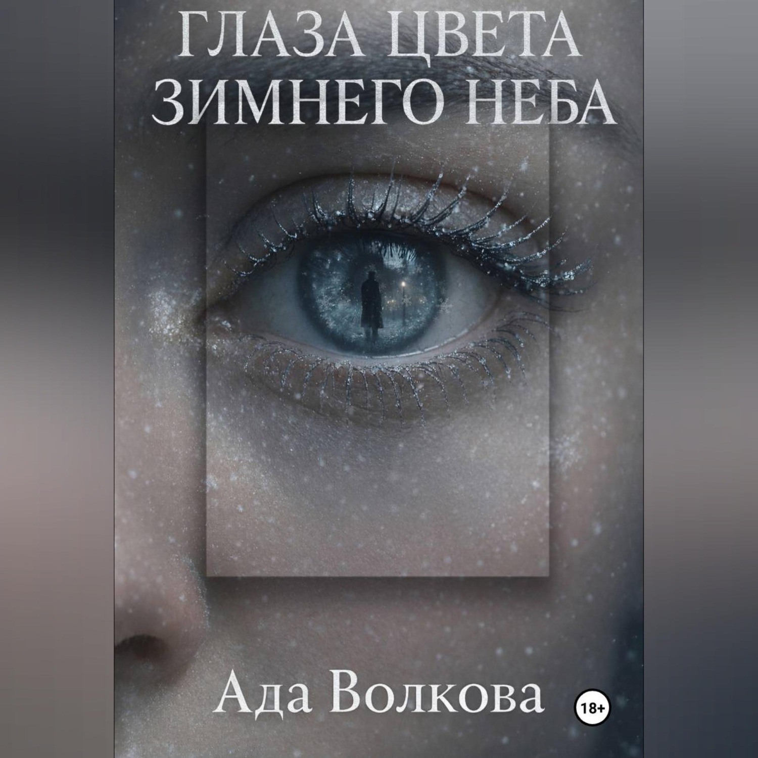 Обложка книги «Глаза цвета зимнего неба»