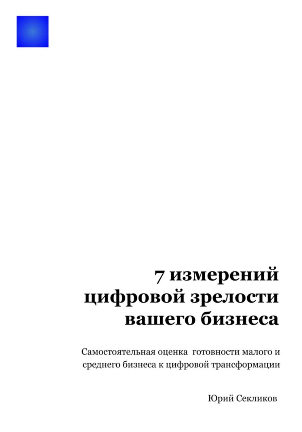 Обложка книги «7 измерений цифровой зрелости вашего бизнеса»