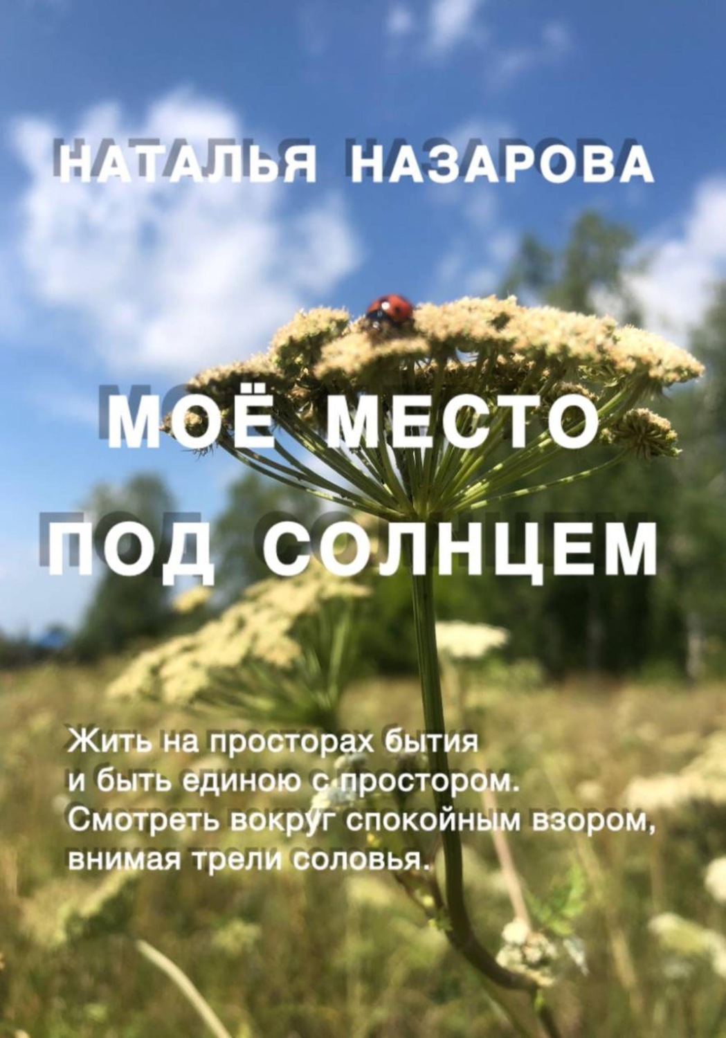 Обложка книги «Моё место под Солнцем»