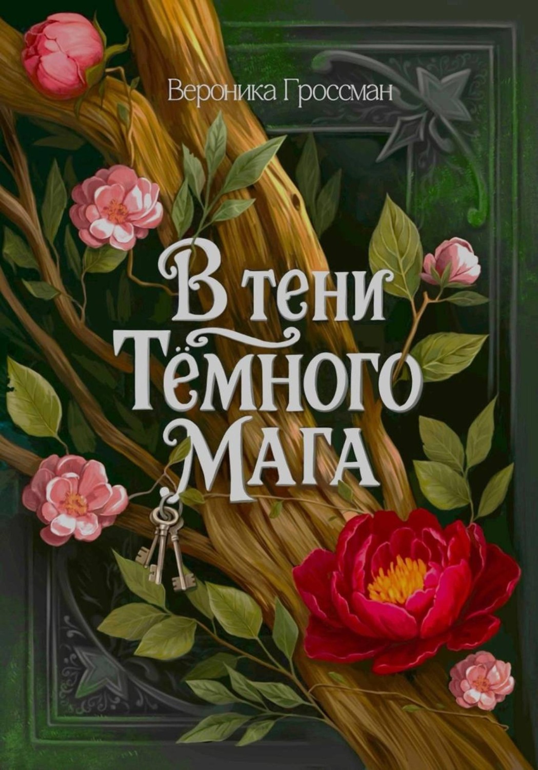 Обложка книги «В Тени Темного Мага»