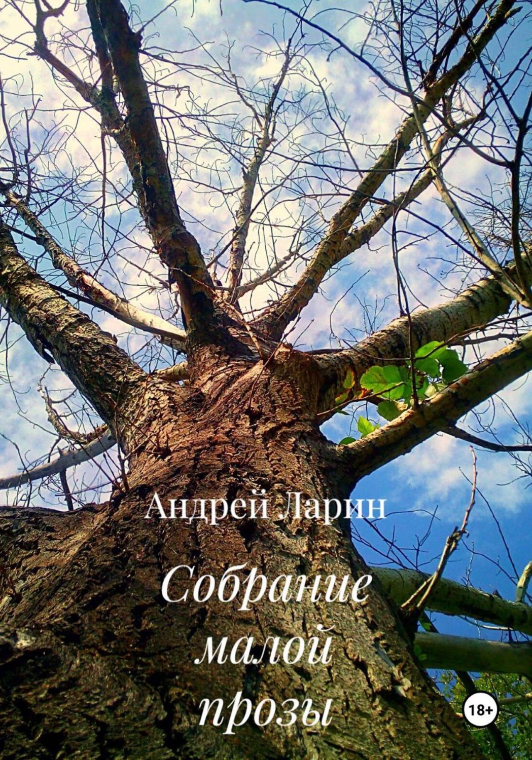 Обложка книги «Собрание малой прозы»
