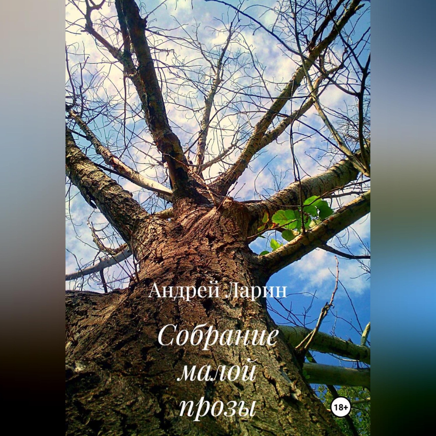 Обложка книги «Собрание малой прозы»